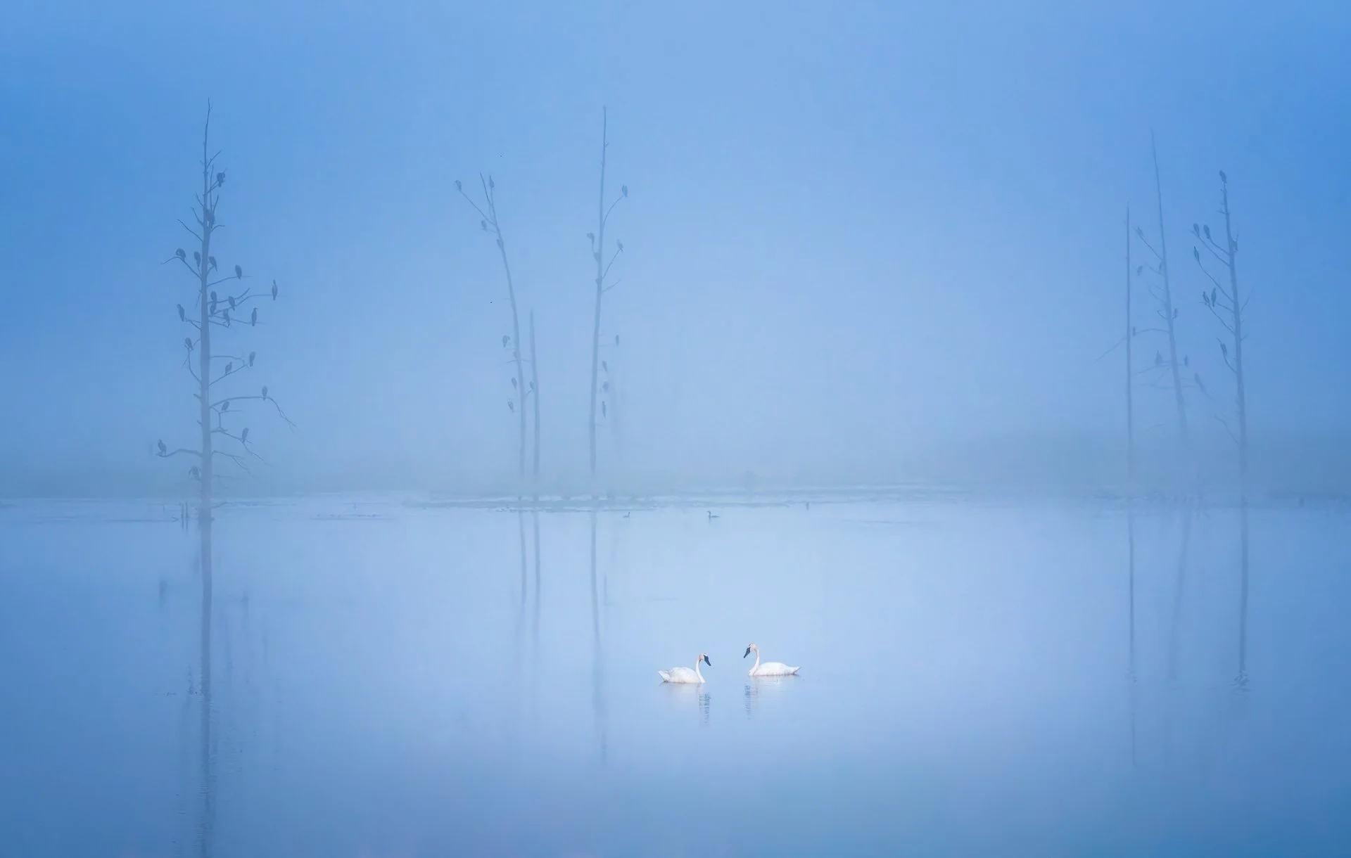Meeting PlaceA1_03422-2.jpg