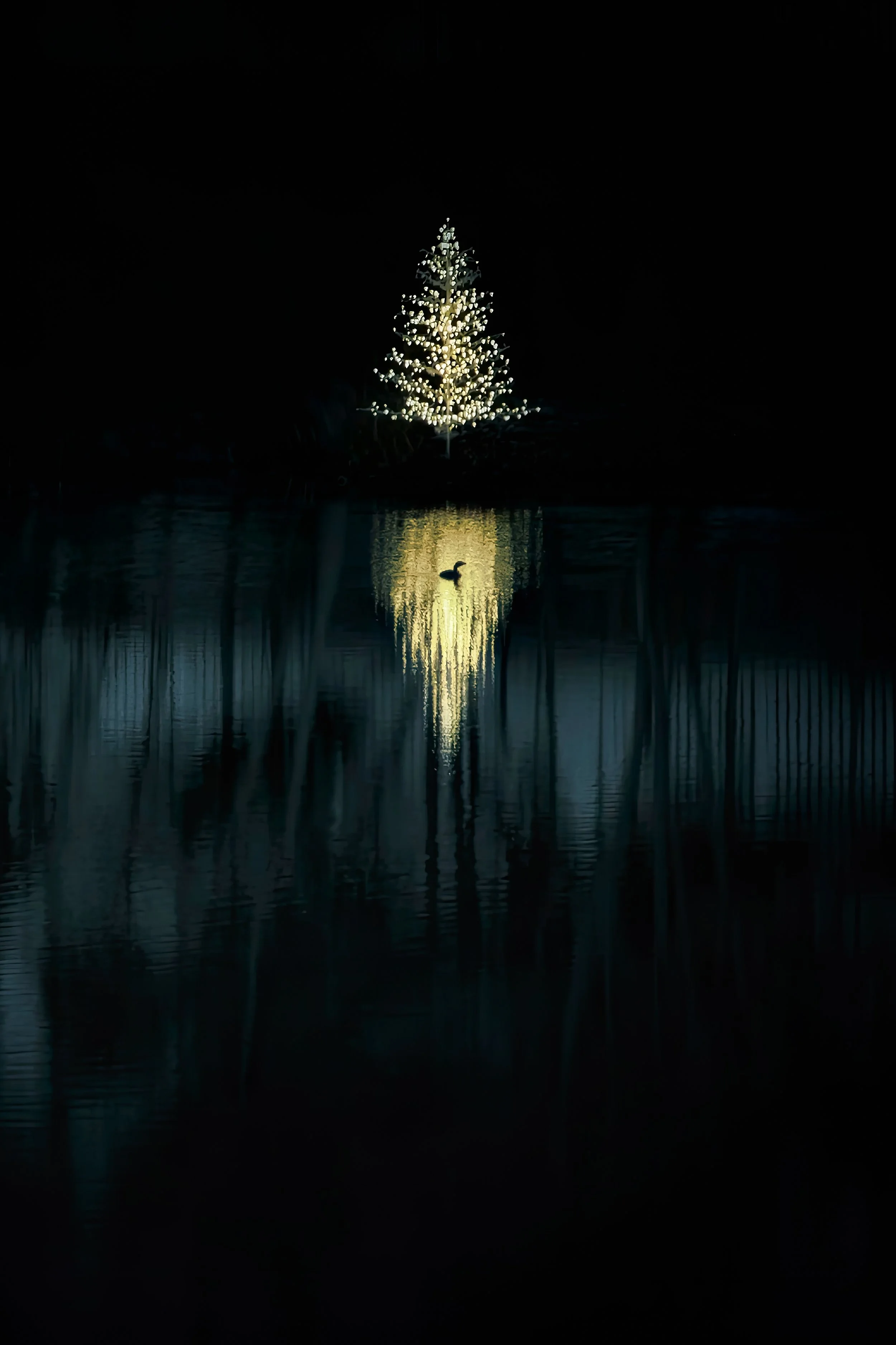 feliz navi-duck !IMG_0124 copy-2.jpg