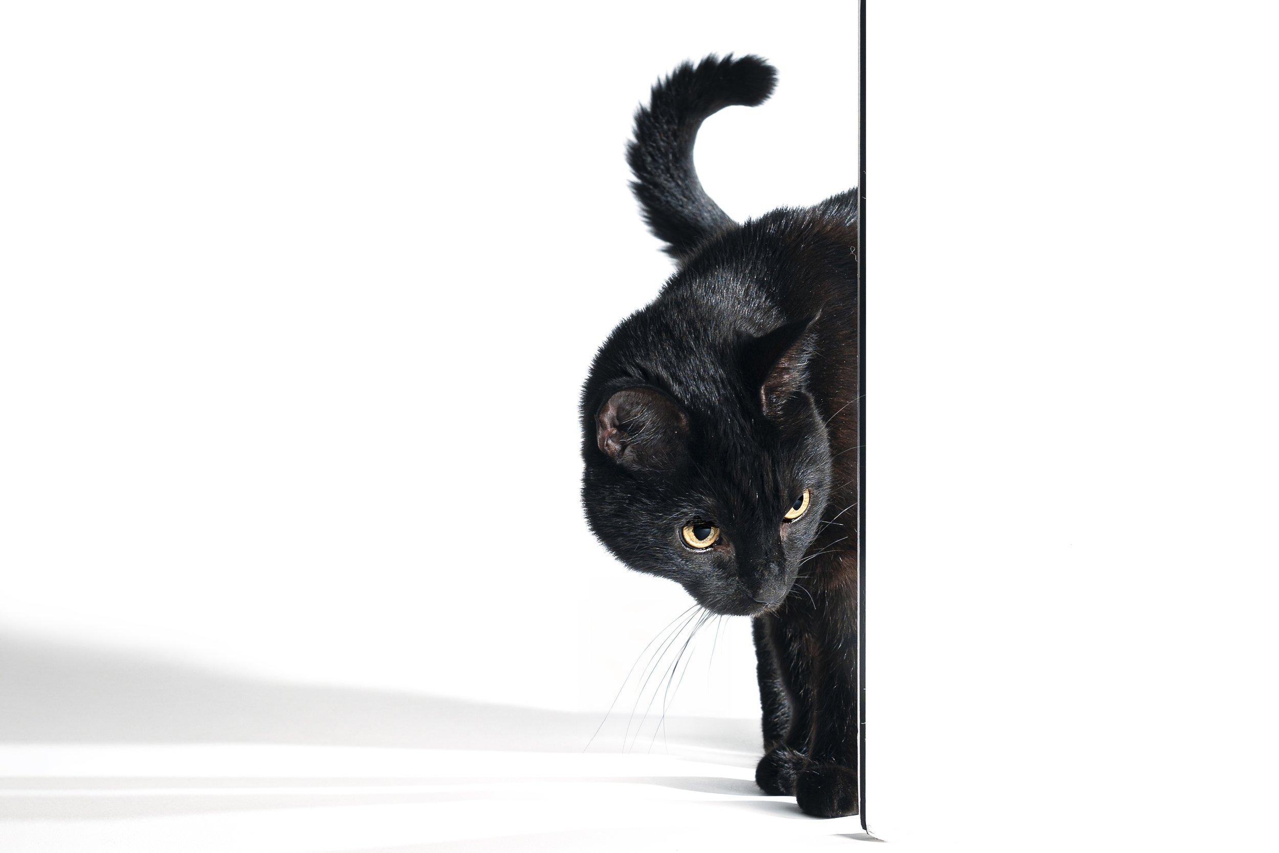 Scene with Complex Emotions