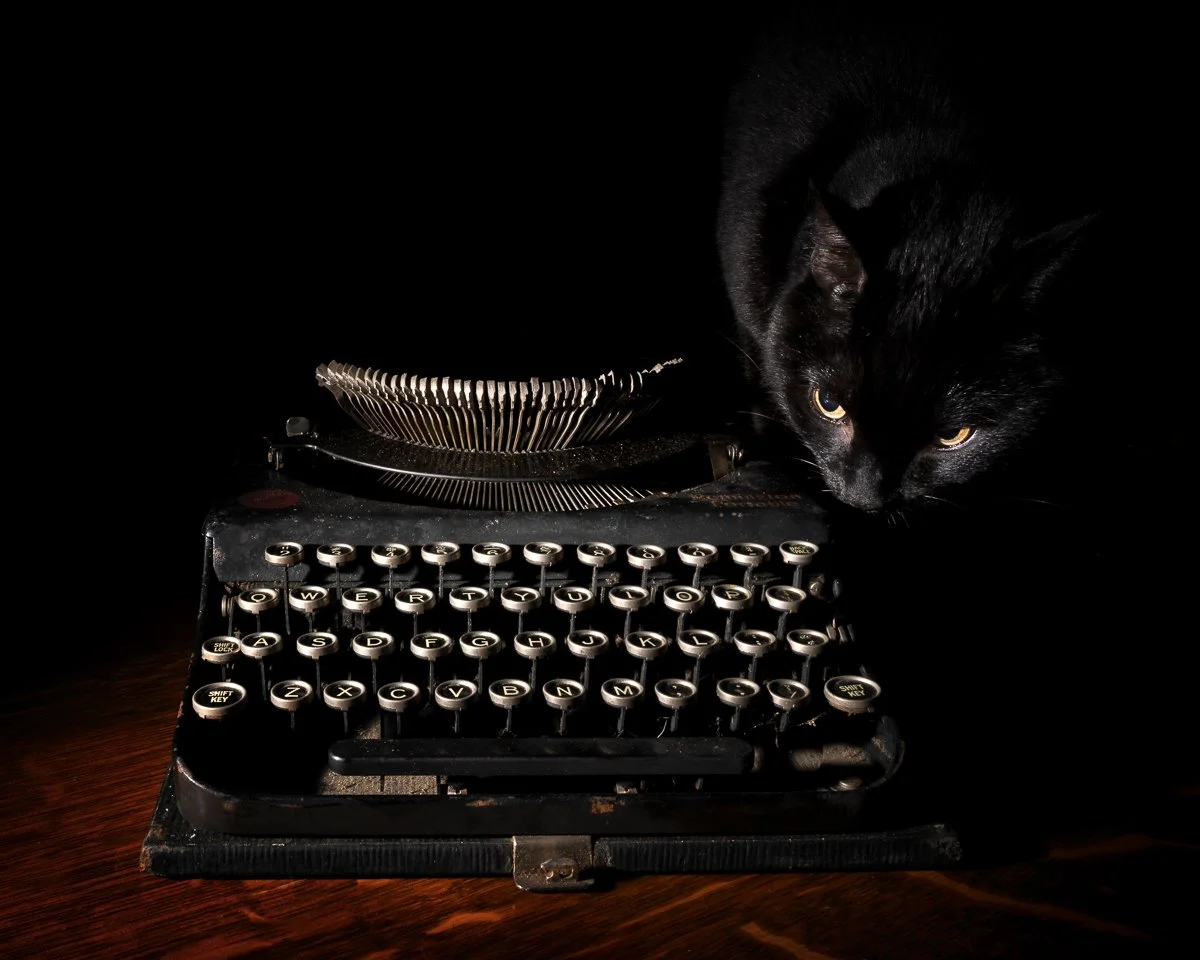 16x20 wheres its mouse.jpg