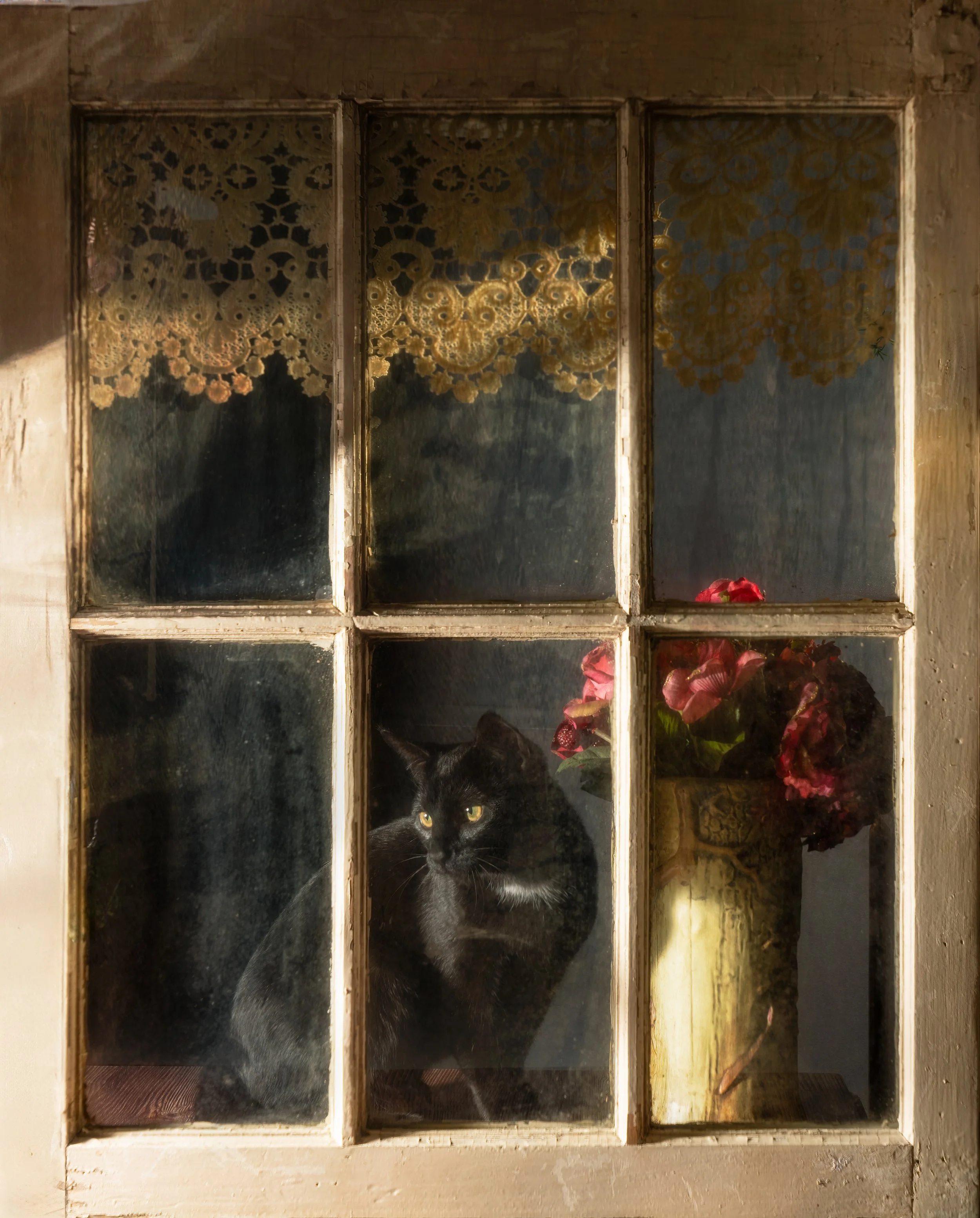 Early Morning Contemplations