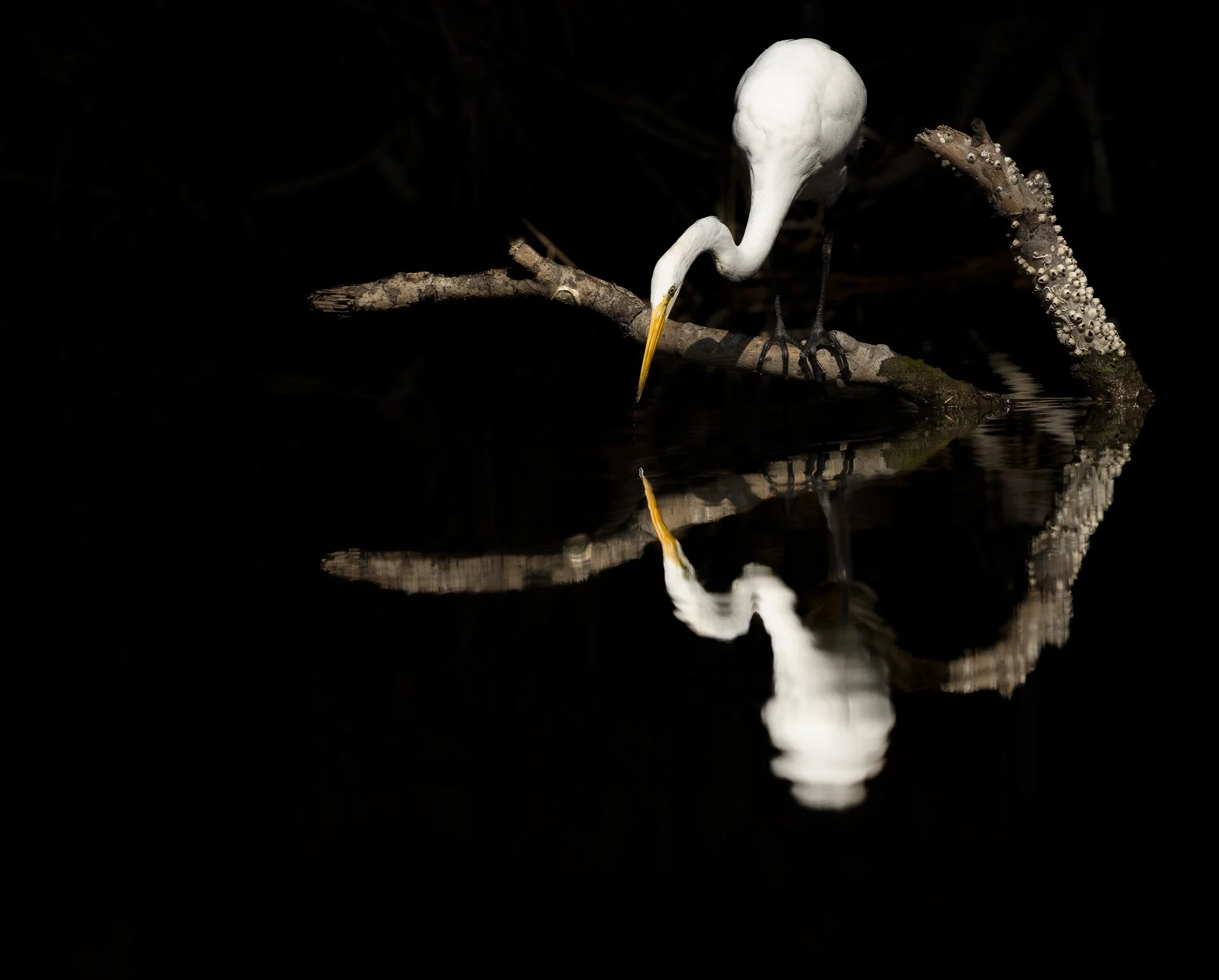 2ndA1_09186-Edit-2.jpg