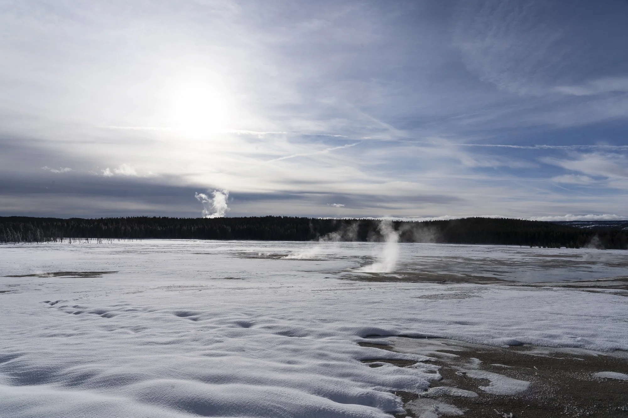 DSC08164-20220115_.jpg