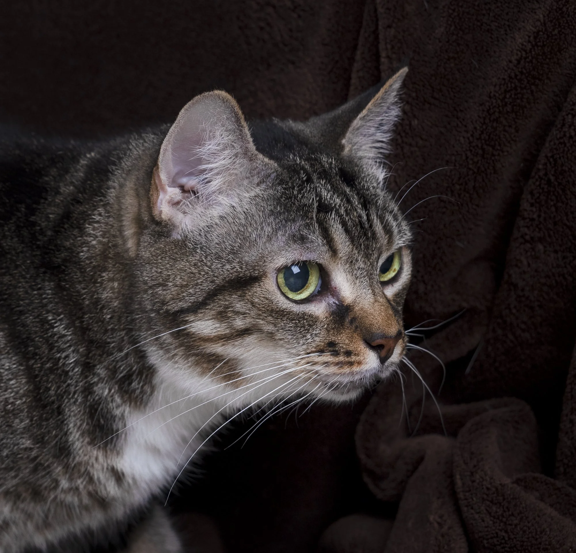 _DSC0024-2-Edit.jpg
