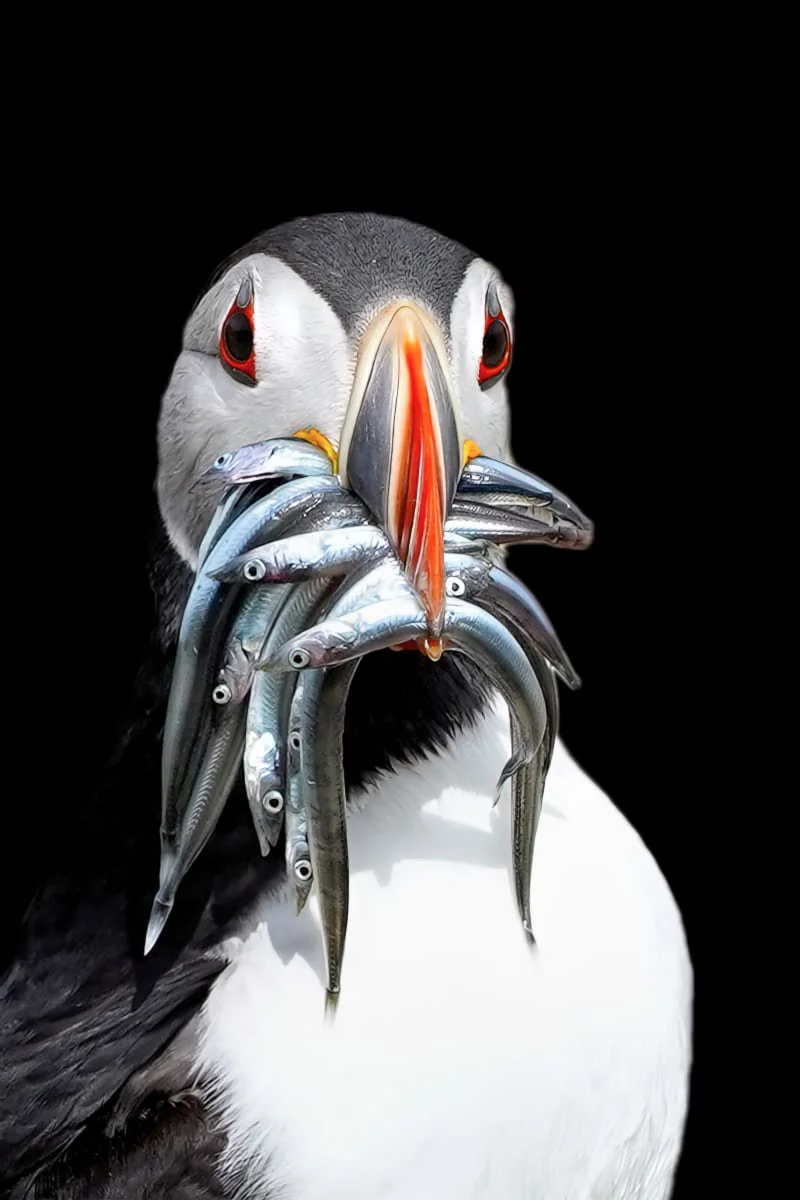 Dinner for ten small.jpg