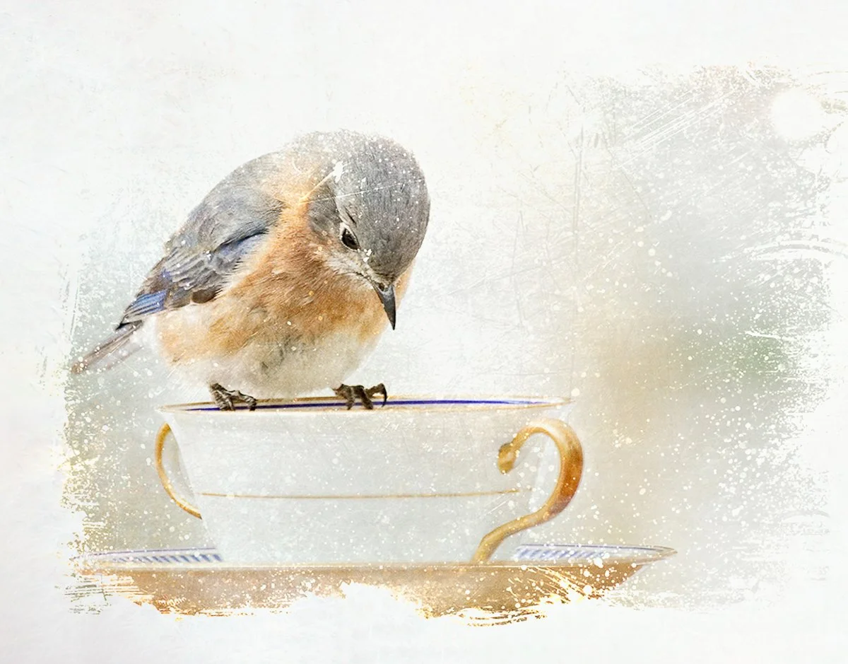 Life in a teacup - extended for canvas copy.jpg