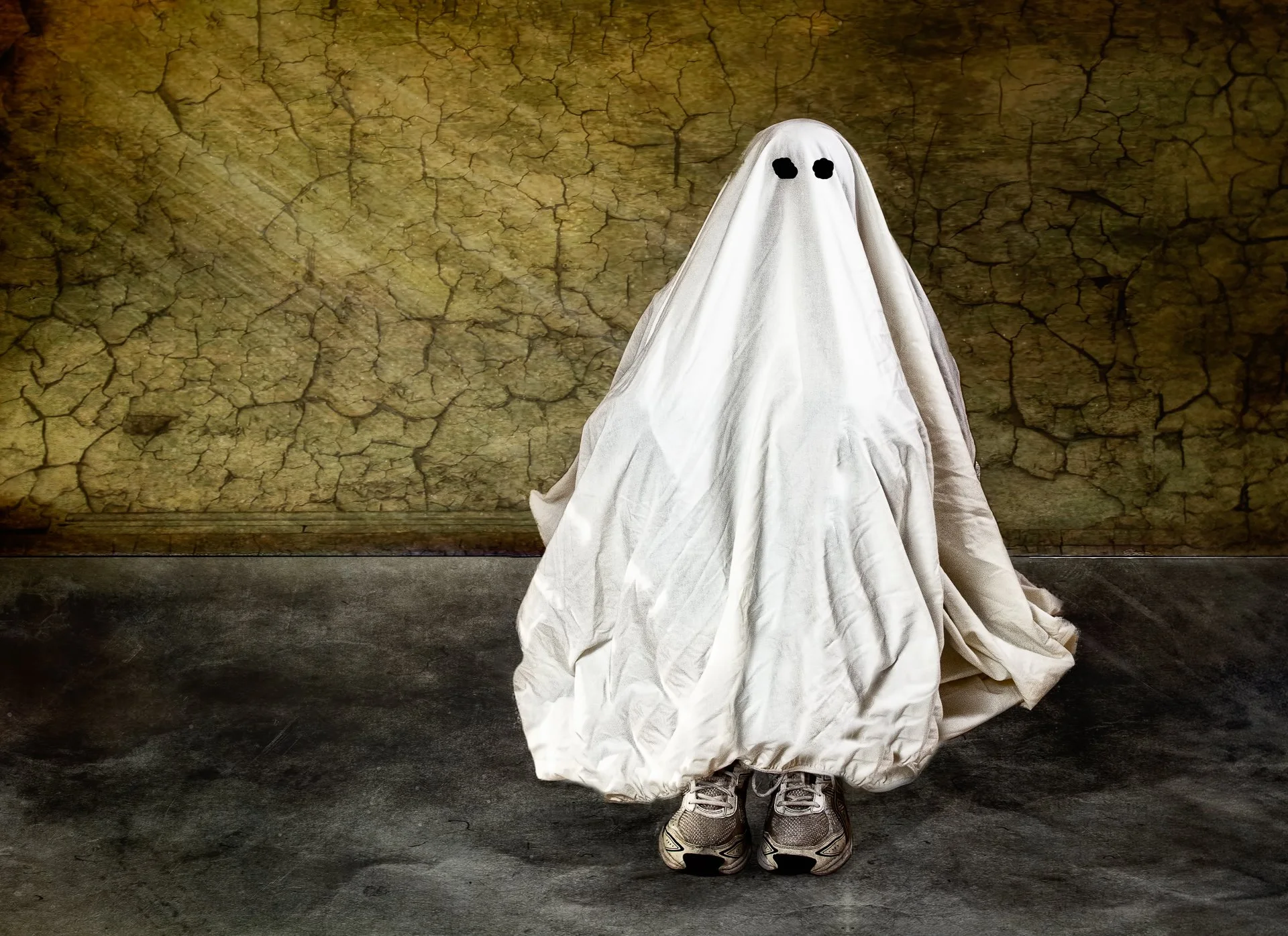 Boo-2.jpg