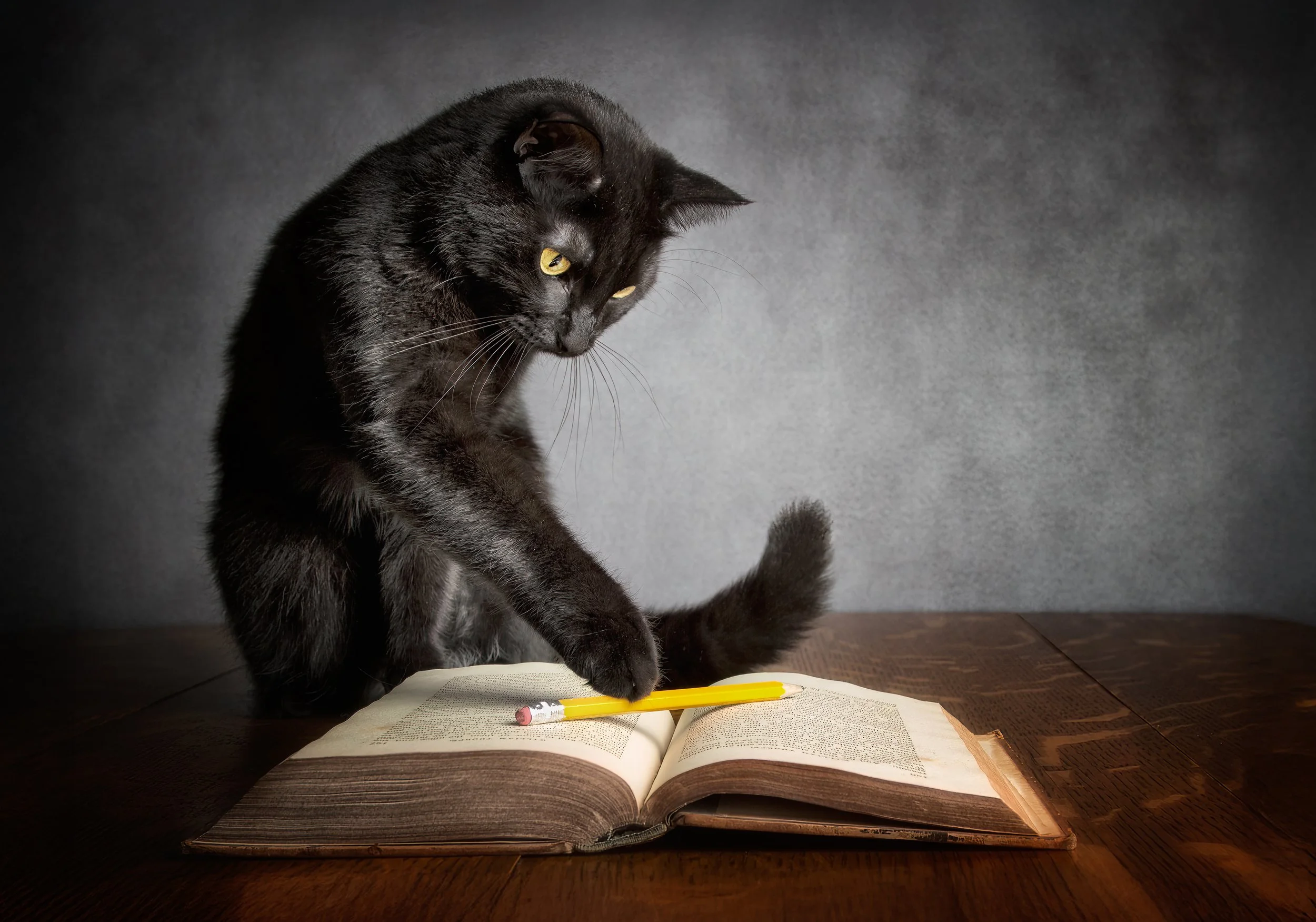 Notes from the Bookclub