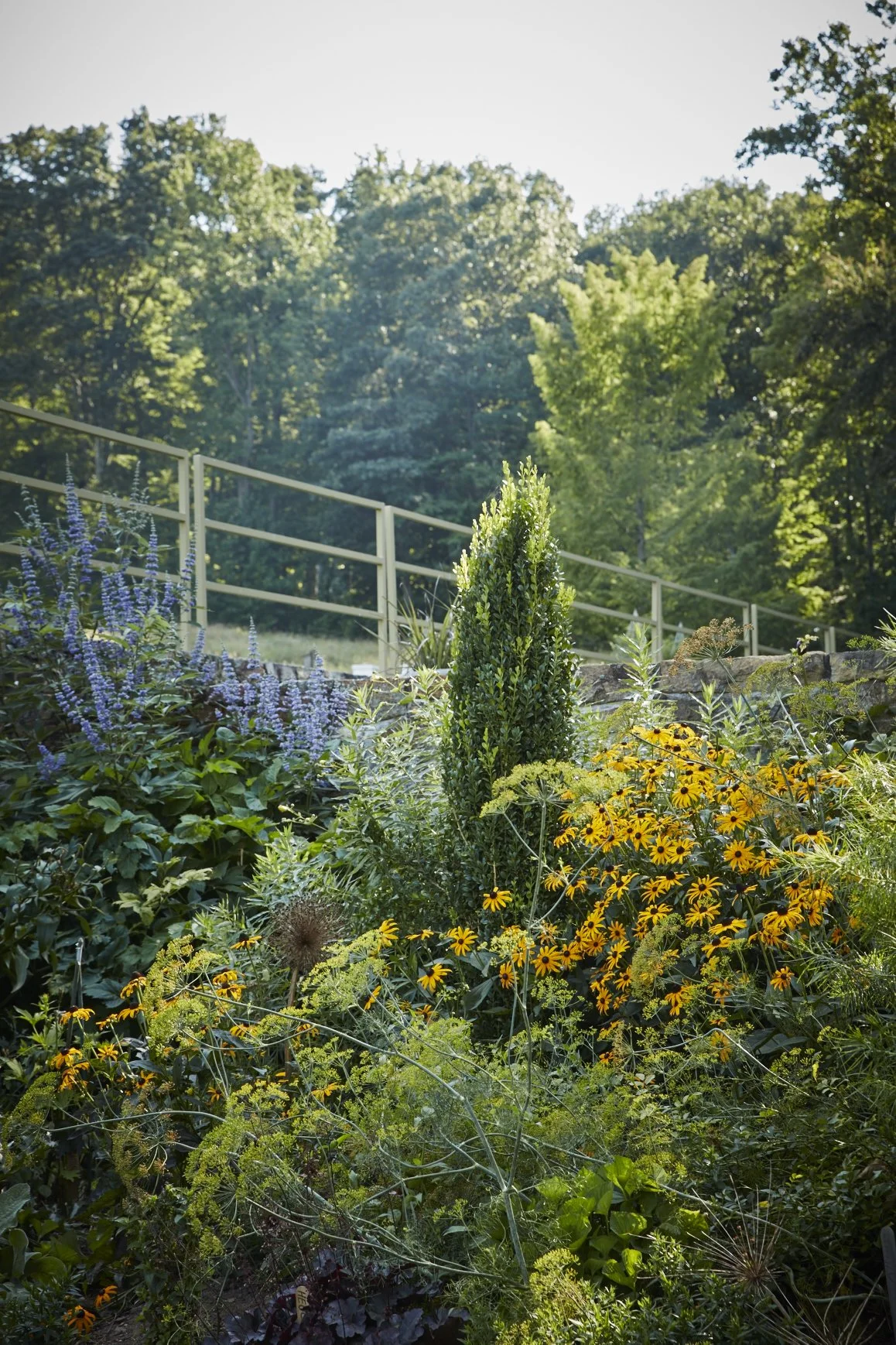 Open Days- The Garden Conservancy 