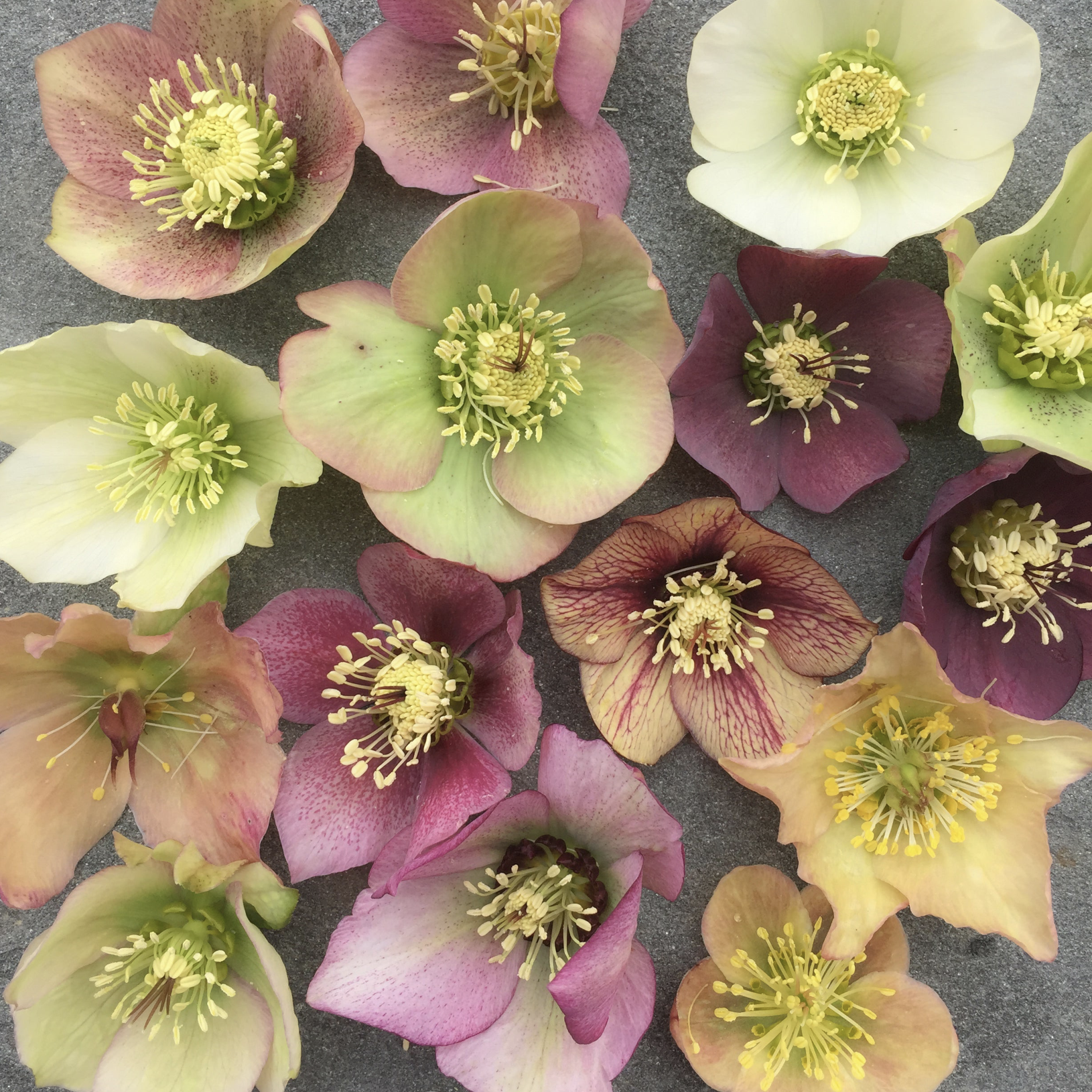 Screenshot 2026-02-14 at 8.51.30 PM.png