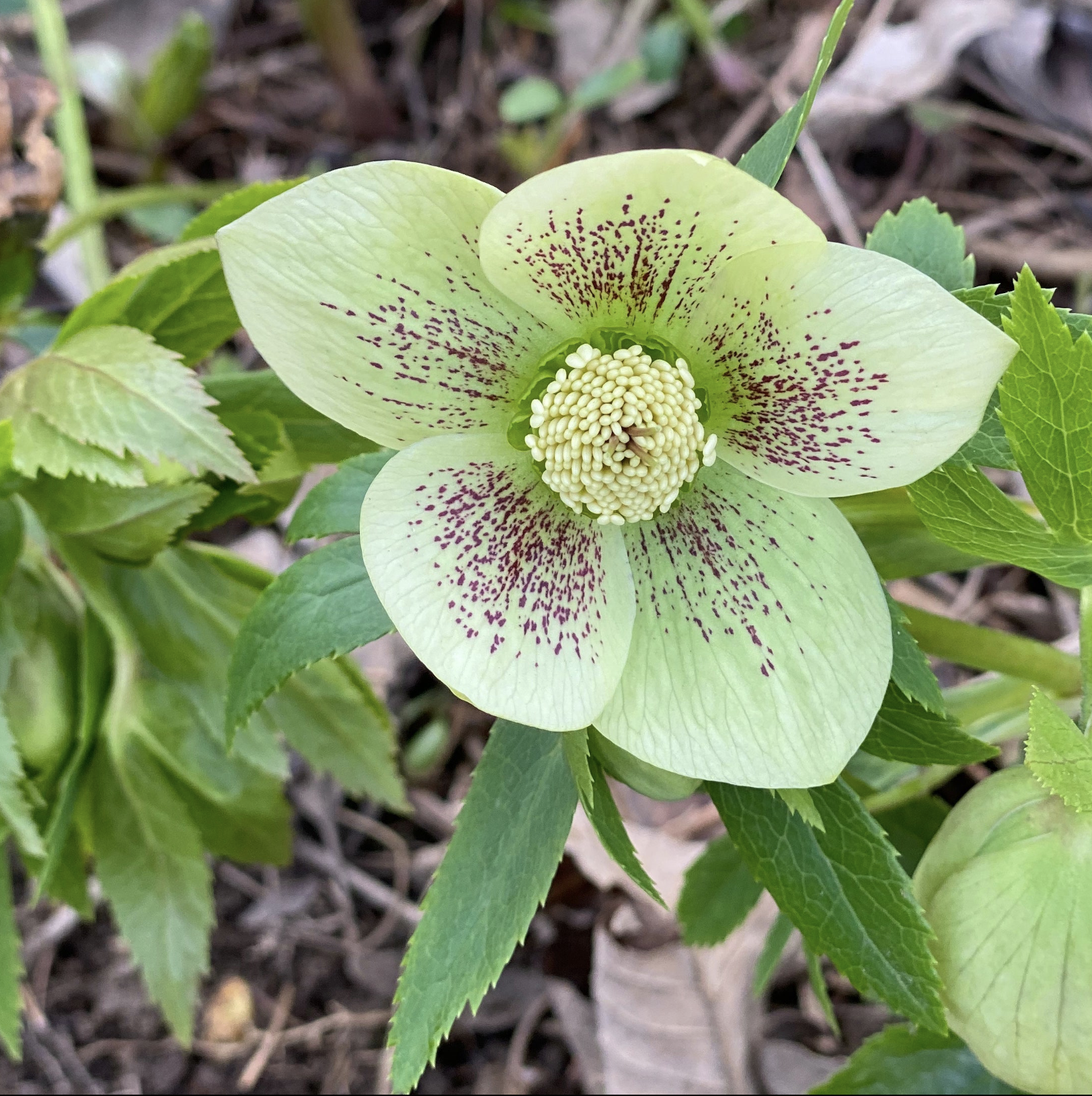 Screenshot 2026-02-14 at 8.52.55 PM.png