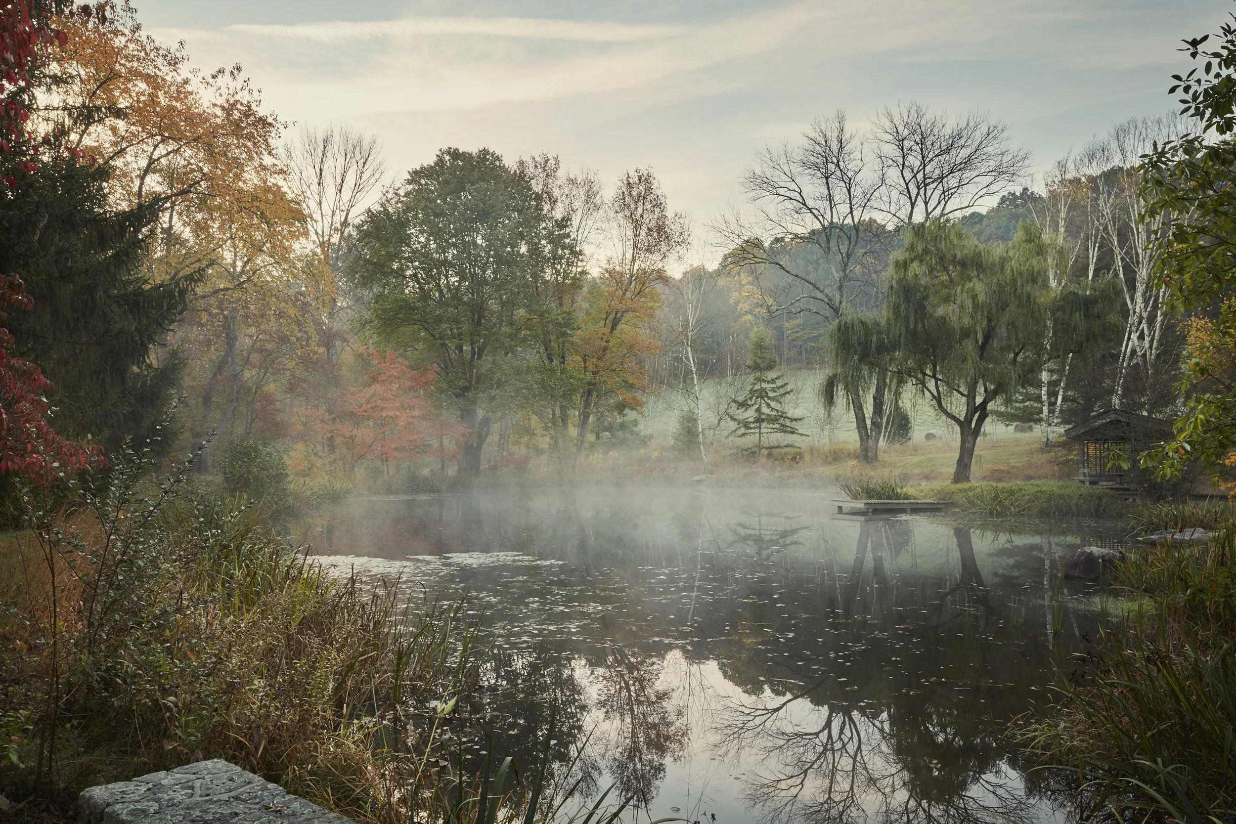 A tranquil autumn scene with a pond surrounded by trees with colorful fall foliage. The water reflects the trees and a light mist hovers above the pond. The sky is partly cloudy and the overall atmosphere is peaceful and misty.