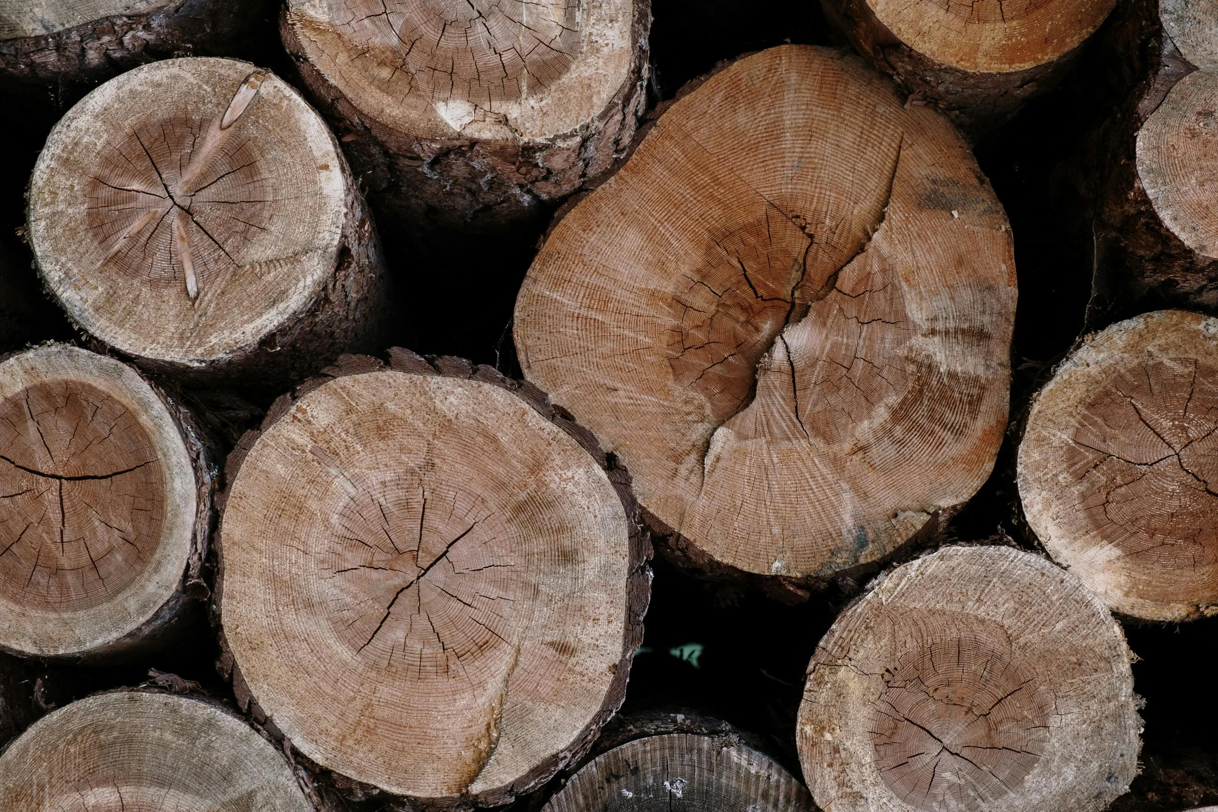 Stacked cut logs showing their circular cross-sections with visible wood grain and growth rings.