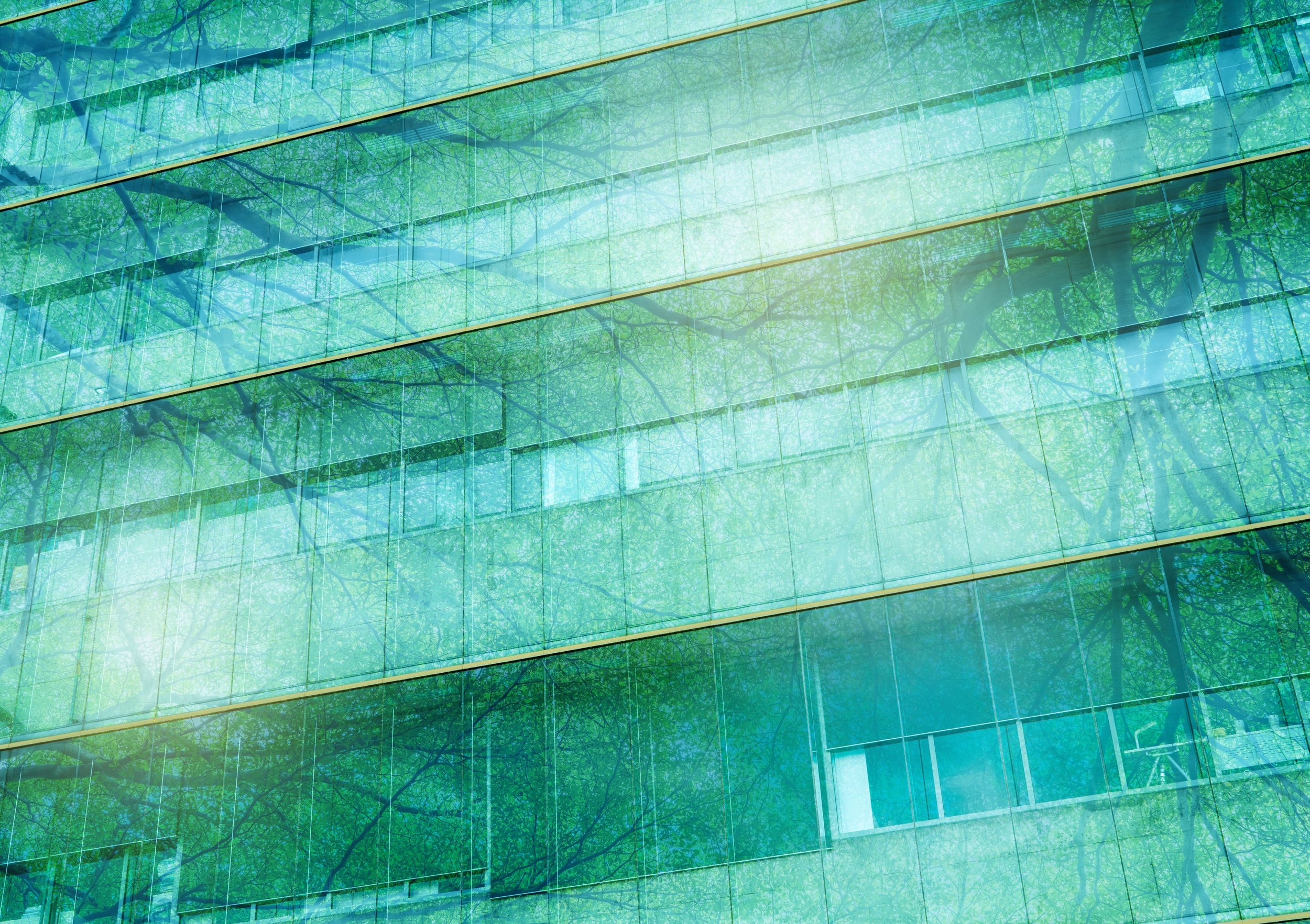 Reflections of trees and a cloudy sky on the glass facade of a modern building.