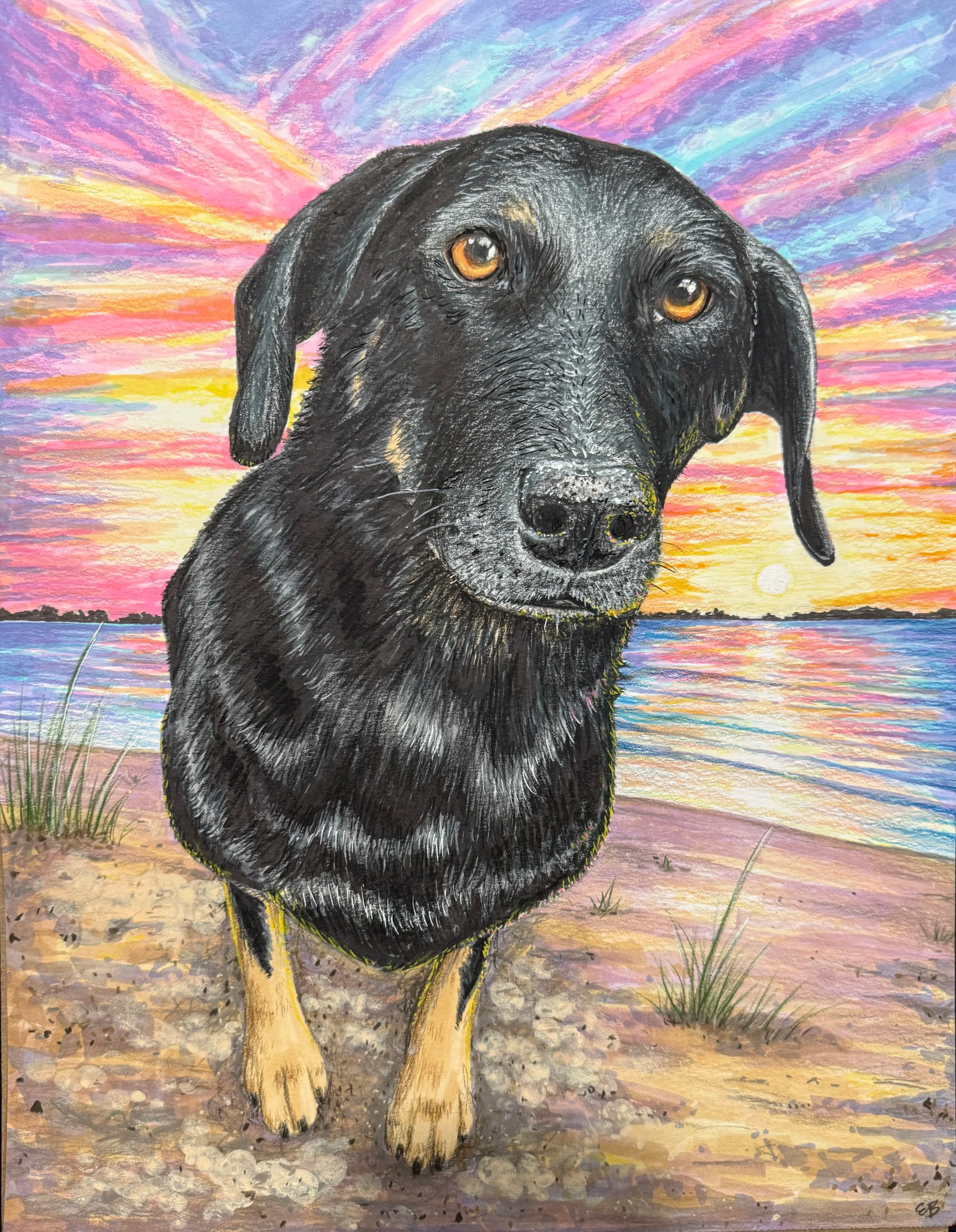DogSunsetLeigh.png