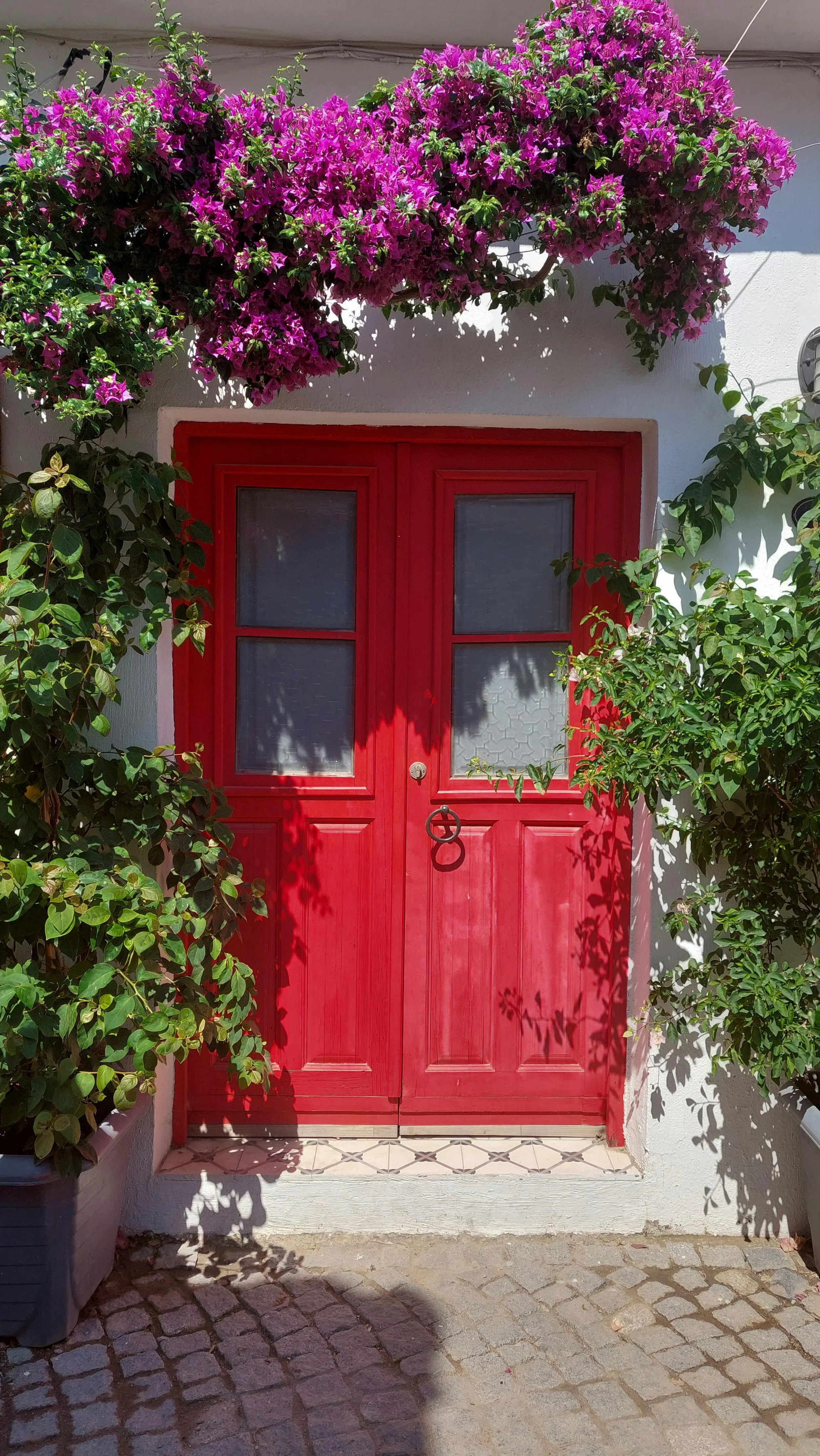 How an MS Diagnosis Led Me to Feng Shui &amp; Changed How I See My Home&nbsp;