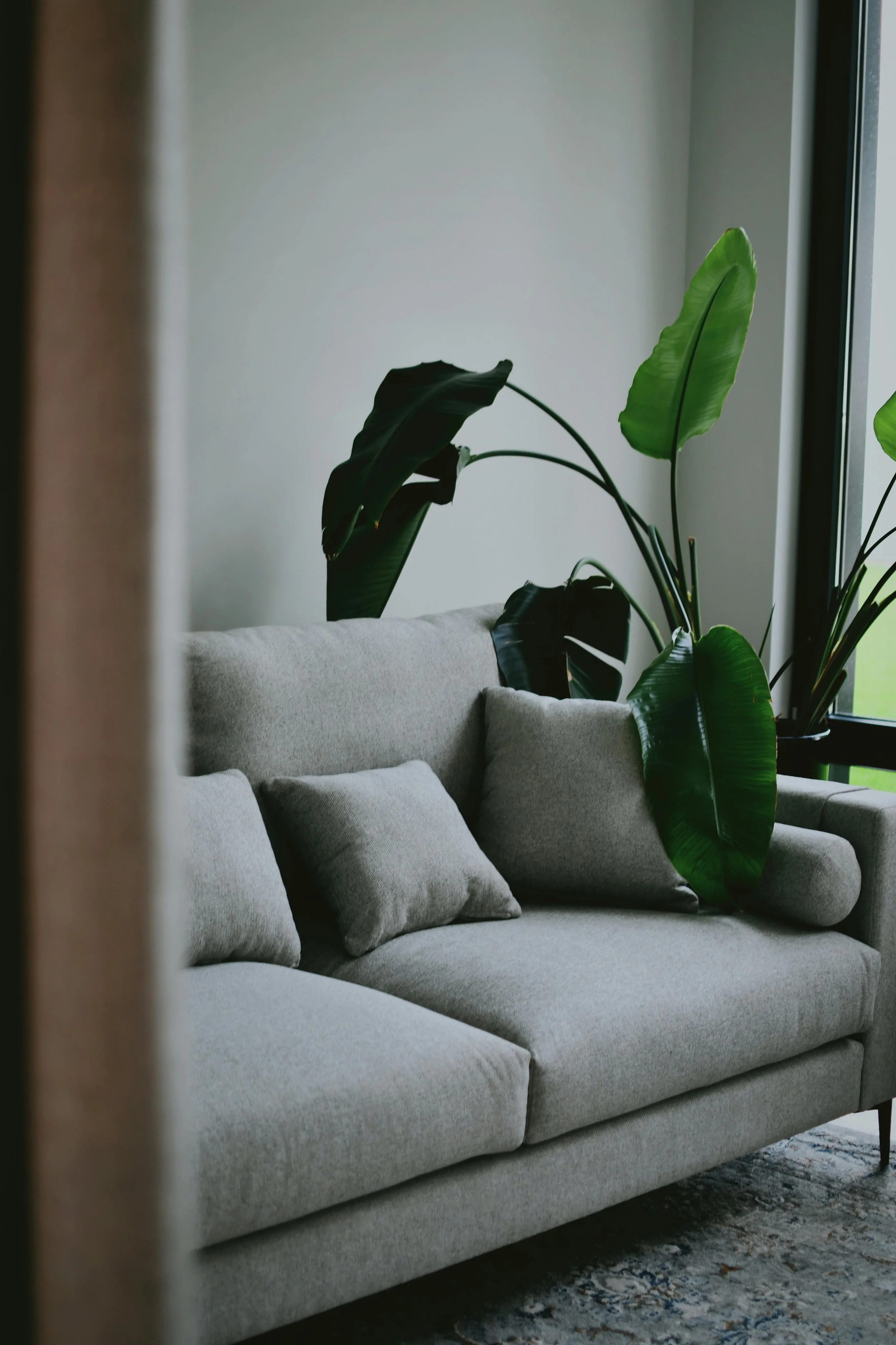 Feng Shui and Therapy Have More in Common Than You Think
