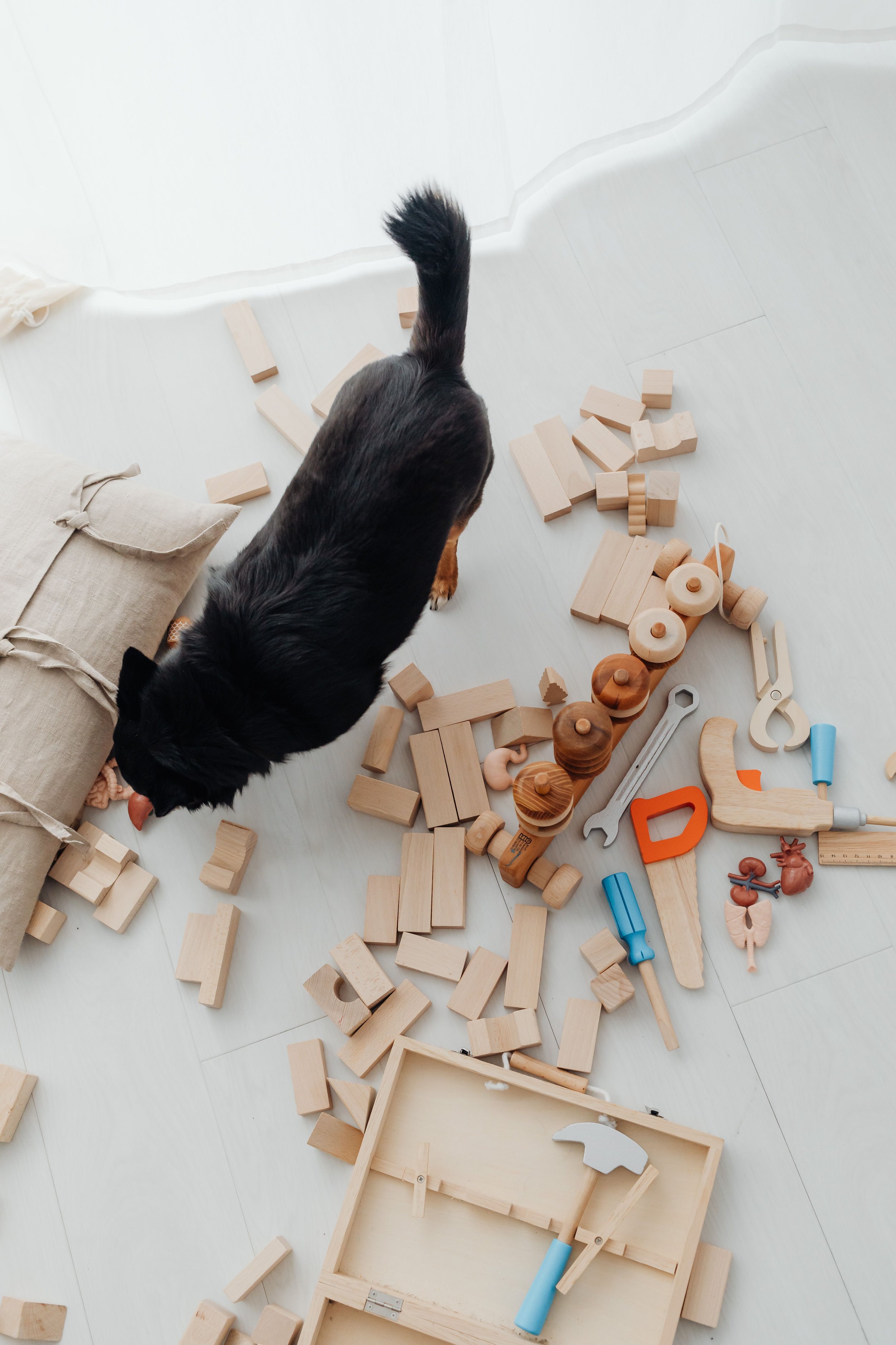 The Hidden Blueprint of Your Home: Understanding Feng Shui’s Energetic DNA