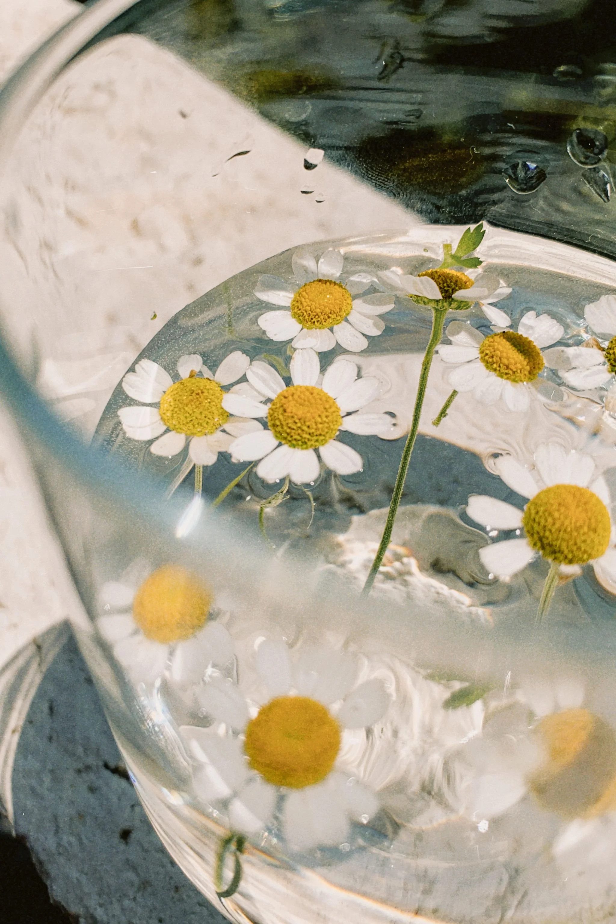 When Water Is Needed: From Cat Bowls to Ritual