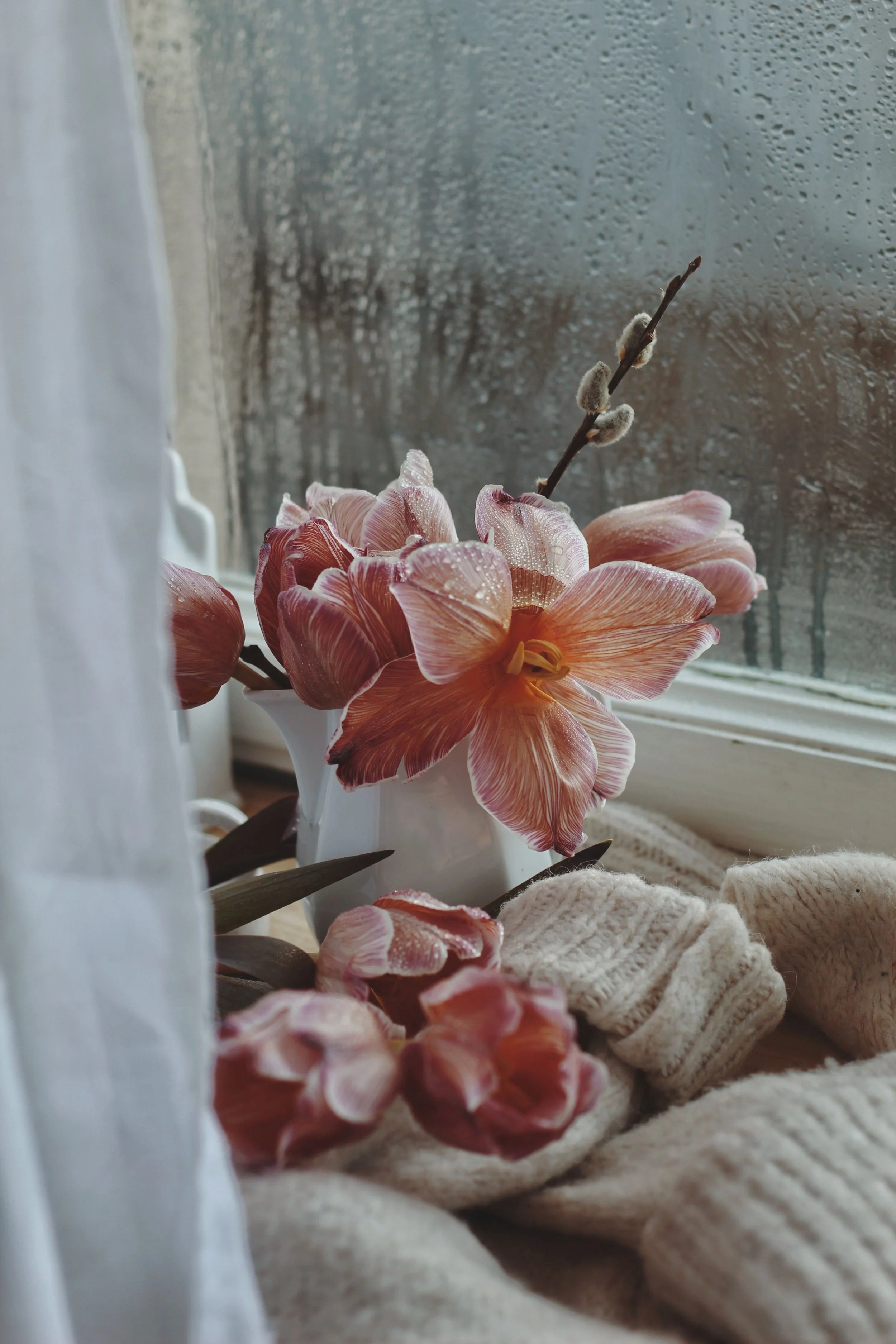 Feng Shui = Woo Woo? It's More Like Meteorology for Your House