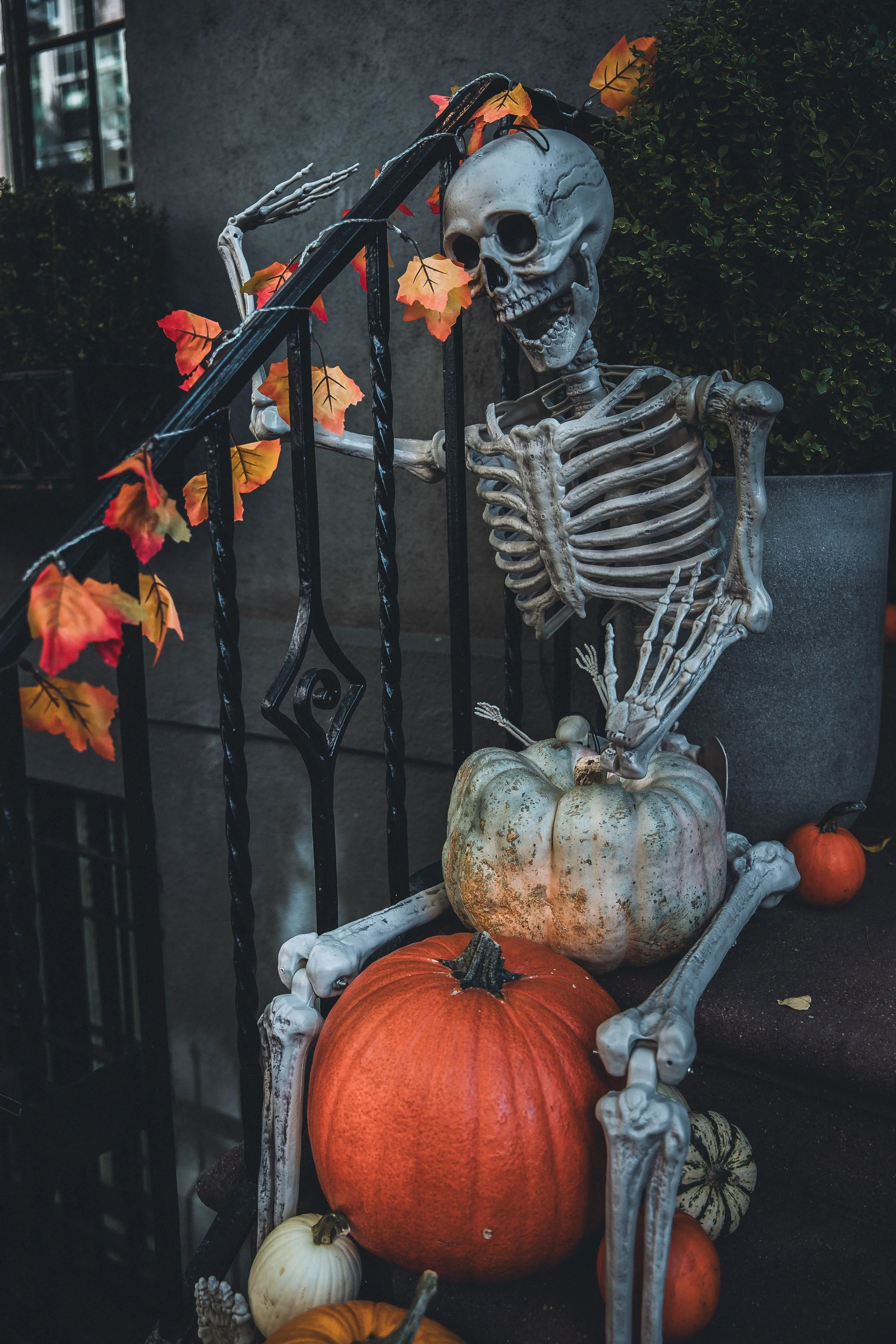 The Skeleton: Halloween Decor Through a Flying Stars Lens