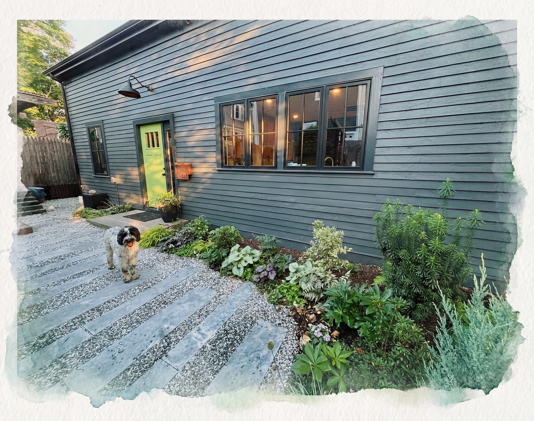 PaintPic_365 CTYD_Bird png.png