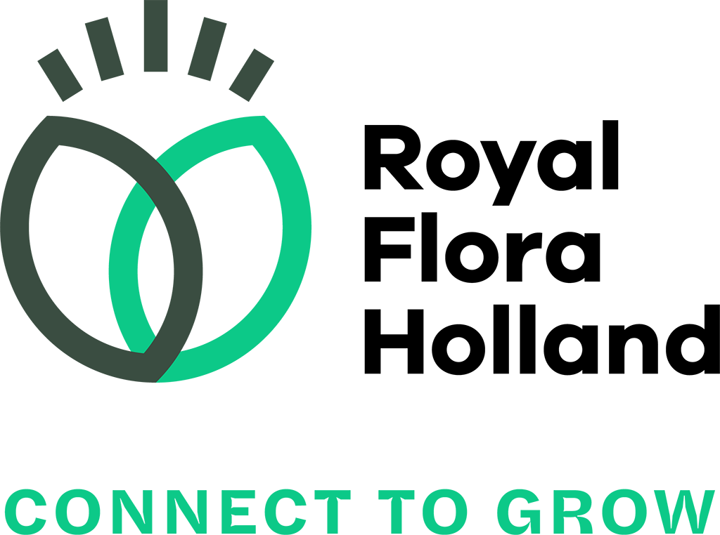 Flower auction hall at Royal FloraHolland in Aalsmeer Цветы оптом Outdoor plants