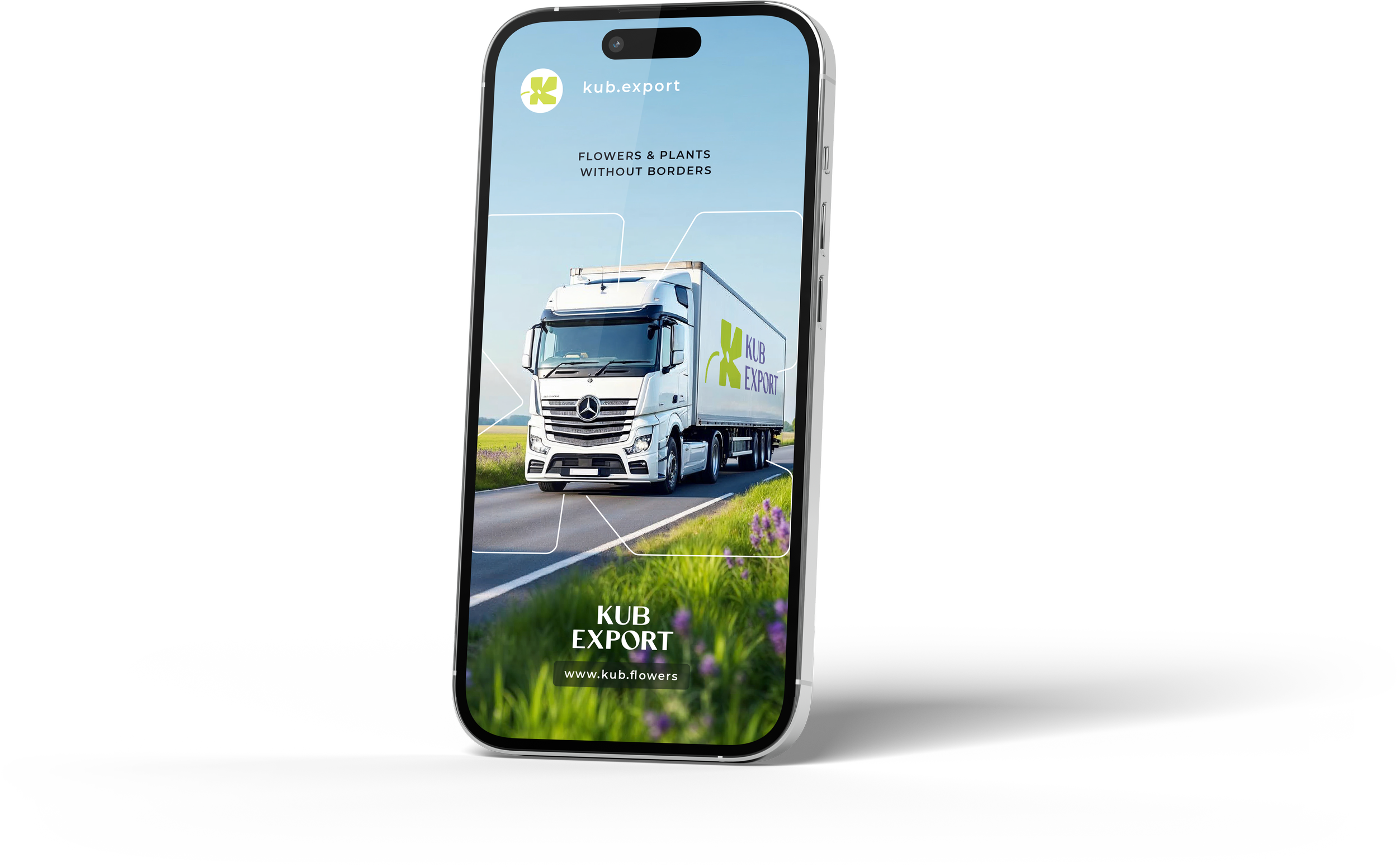 international flower export company Potted plants exportation de fleurs, fleurs en gros, експорт квітів Свежесрезанные цветы для экспорта Садові рослини
Горшечные растения Комнатные растения Кімнатні рослини