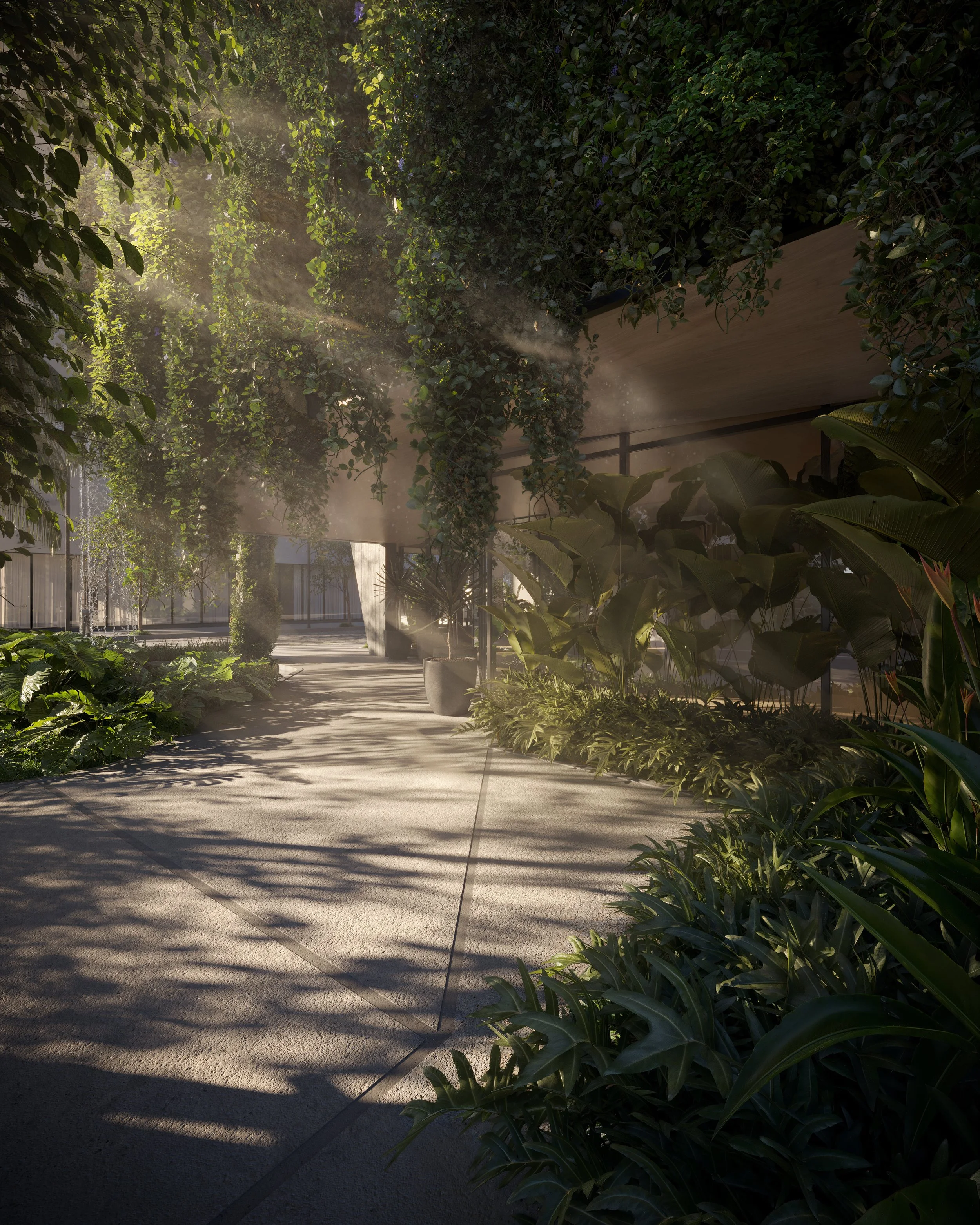 Caminho ao ar livre com plantas e sombra, com raios de sol filtrando por árvores.