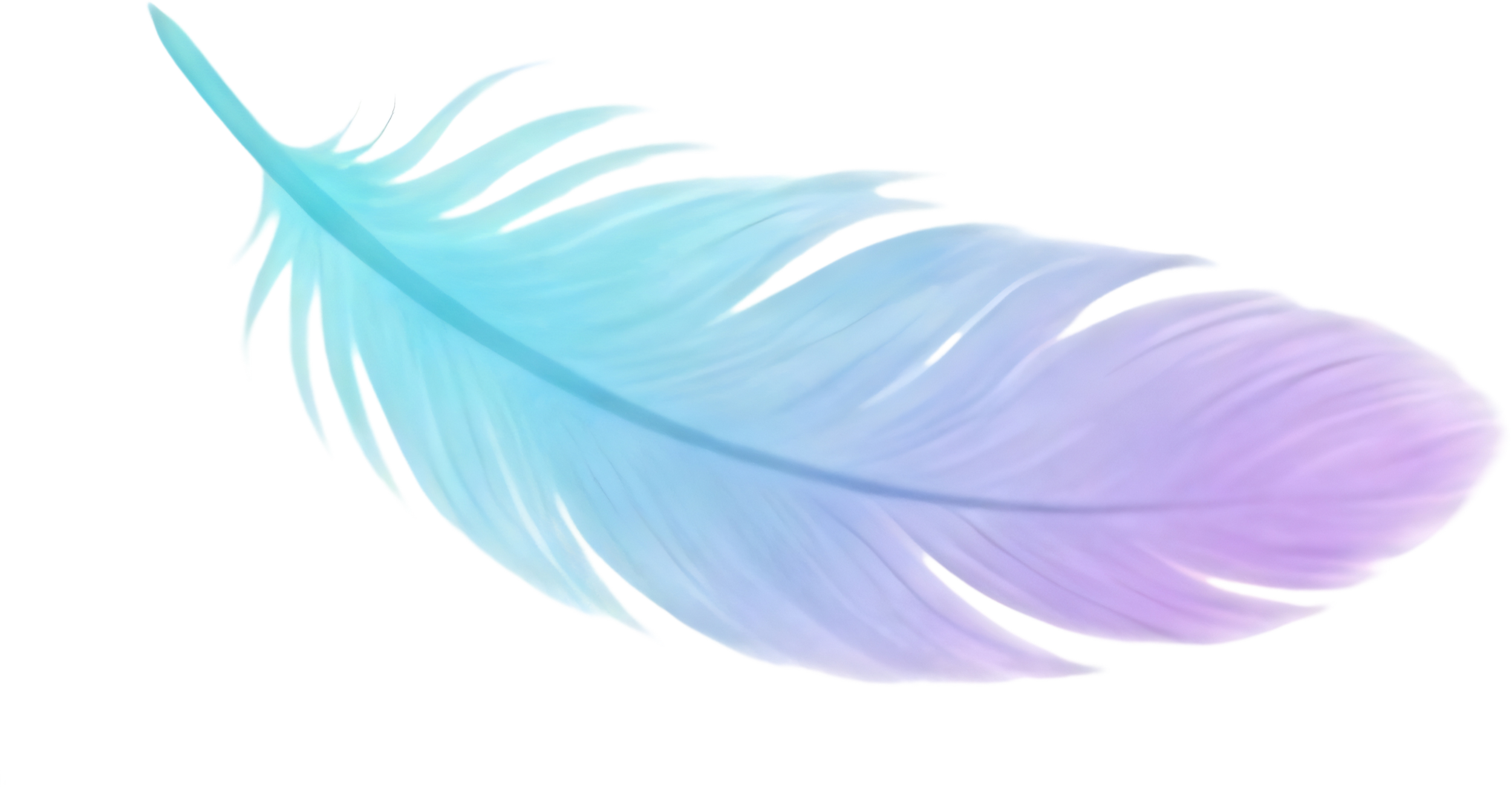 A digitally edited, pastel-colored feather with shades of blue, purple, and pink, isolated on a black background.