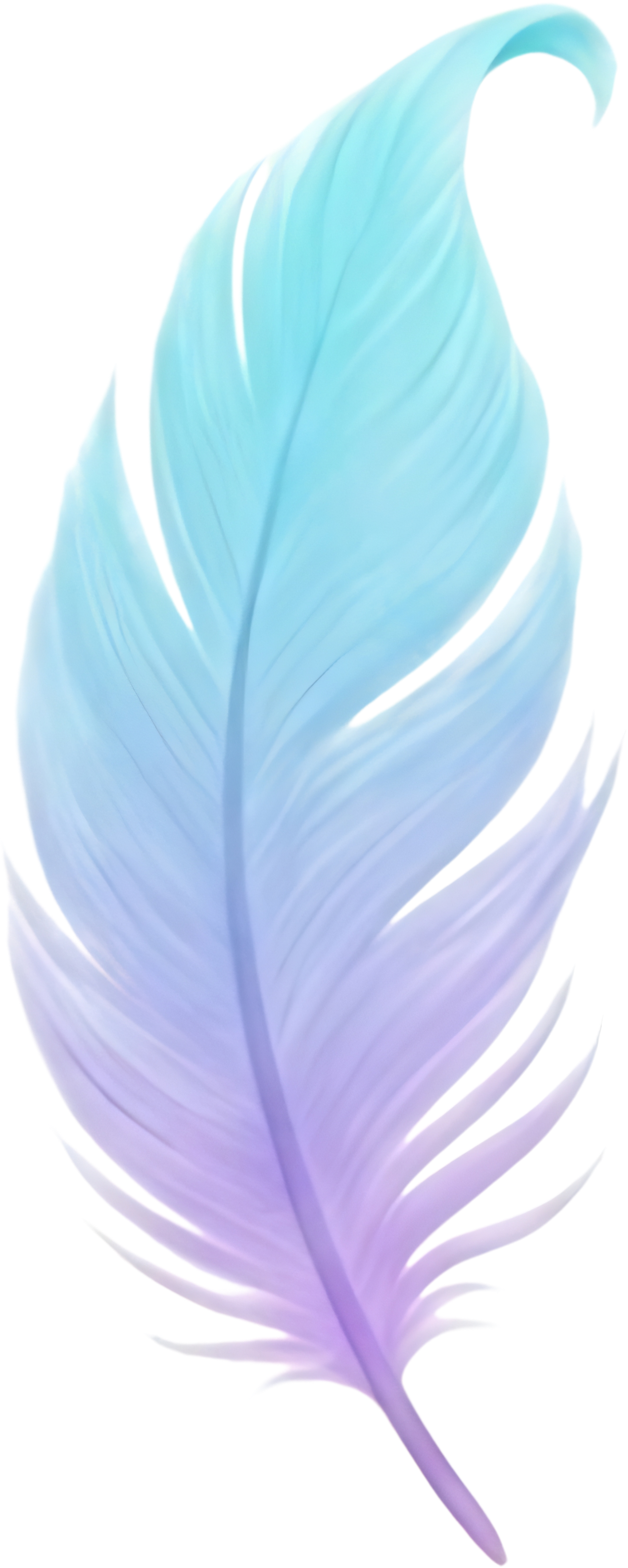 Colorful feather with shades of blue, purple, and violet.