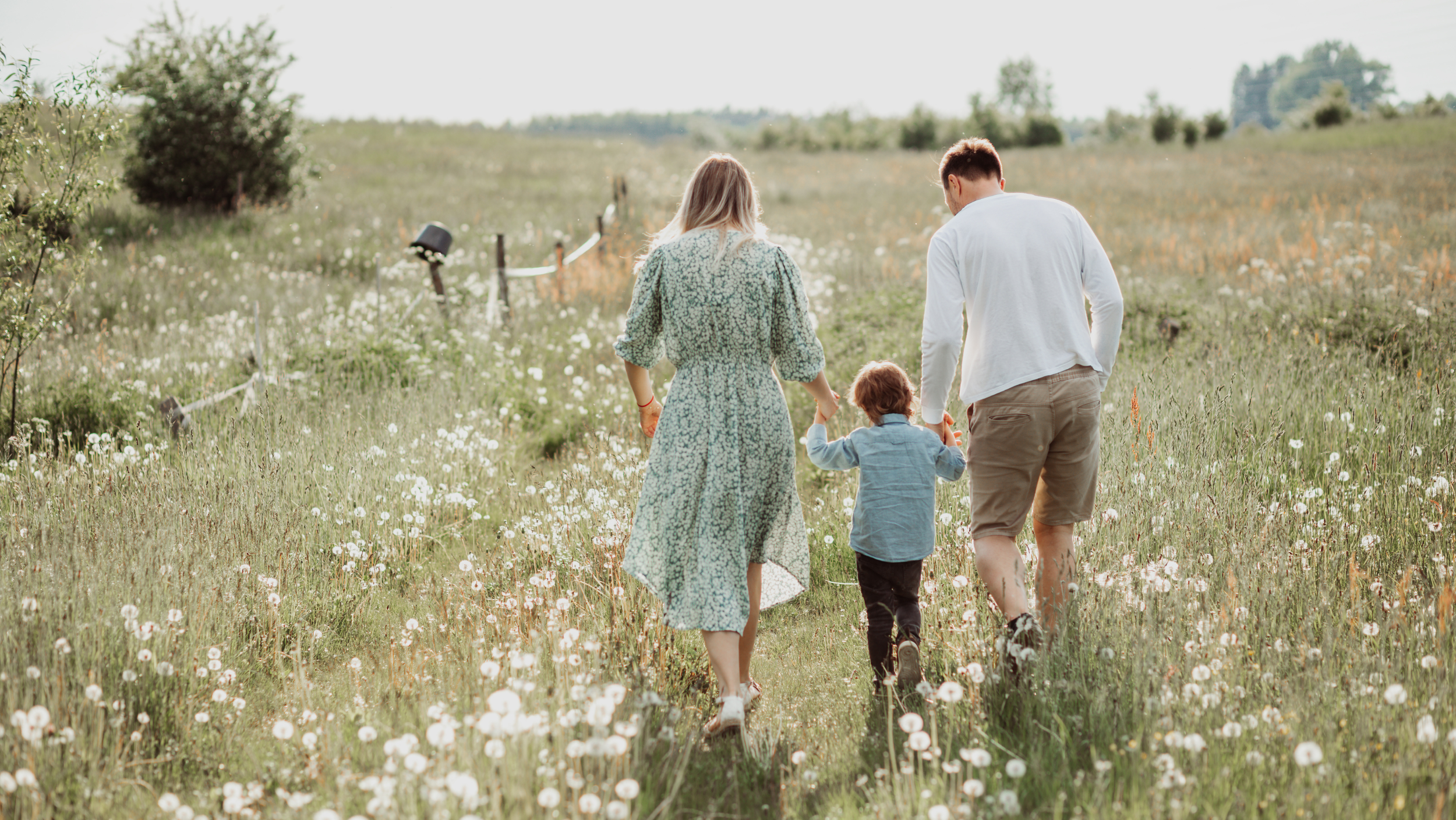 A family of four, including a woman, man, young girl, and boy, walk hand in hand through a field of white wildflowers on a sunny day. Wildflower Neuro Scarborough North Yorkshire