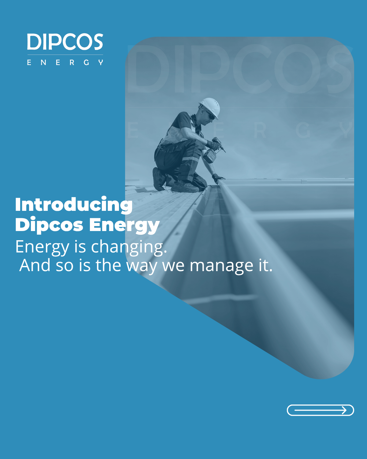 The Origin of Dipcos: Engineering Vision Ahead of Its Time