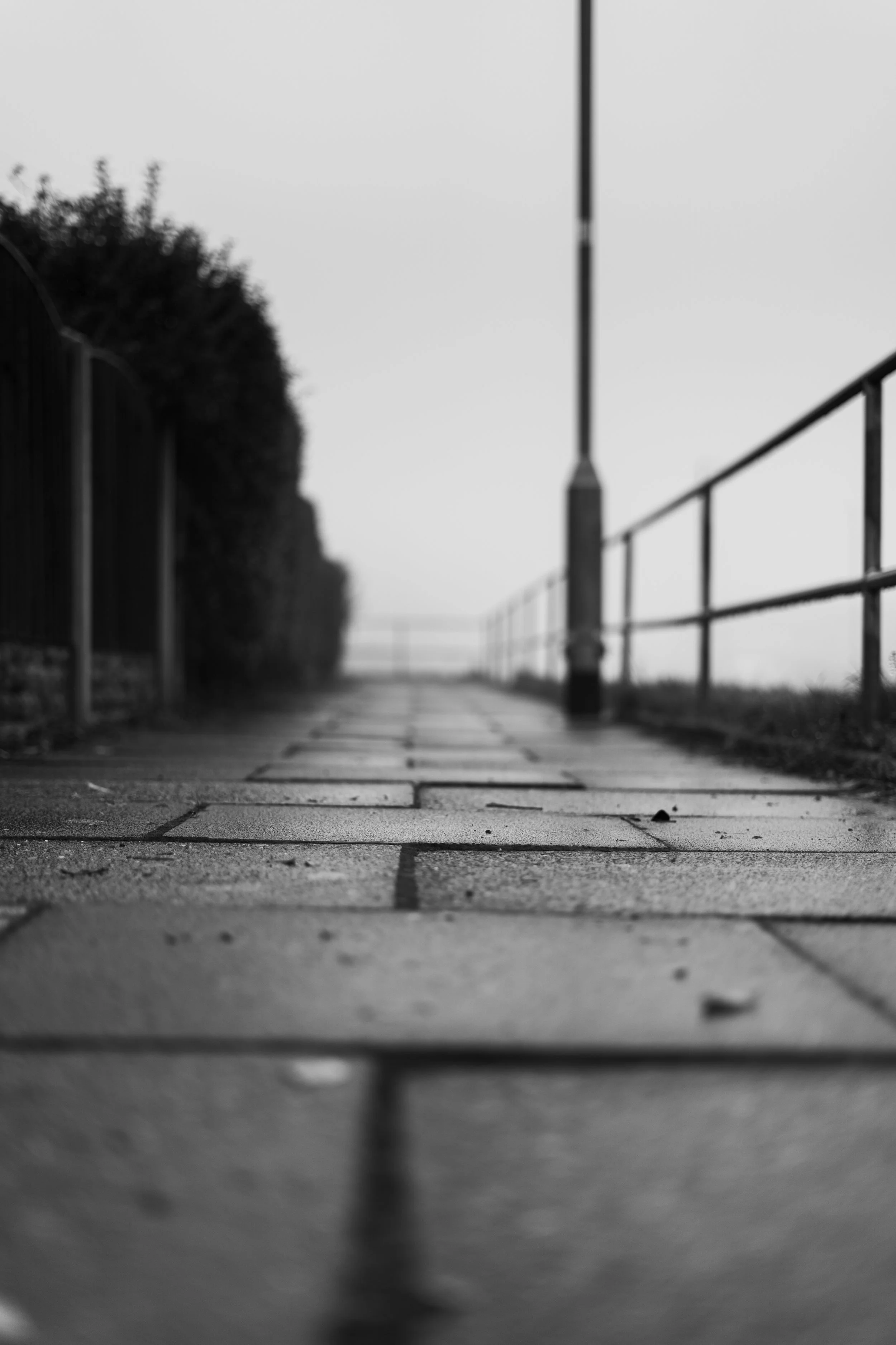 Black and white photo of a paved walkway with a metal railing on the right and a fence on the left, leading into foggy distance.