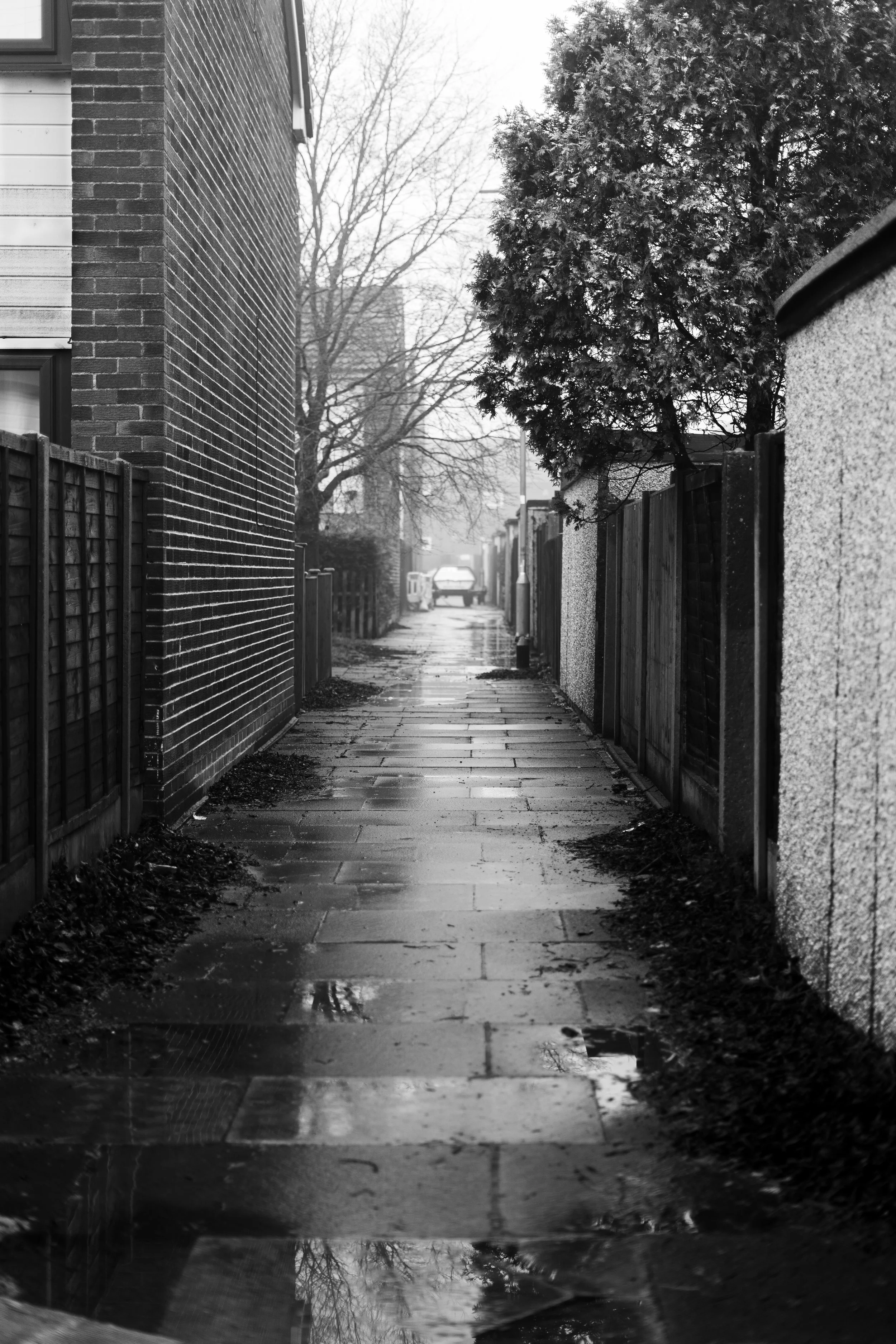 A narrow, wet sidewalk in a residential neighborhood with puddles, bordered by fences and houses on both sides, and a car parked in the distance under a foggy sky.