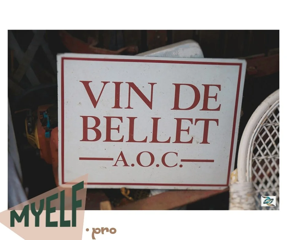 AOC Bellet - Wein aus Nizza