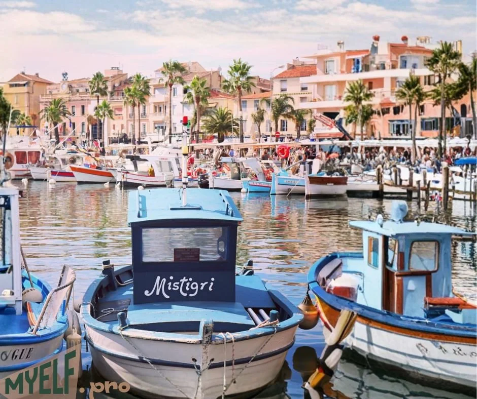 Sanary - Safe Harbour
