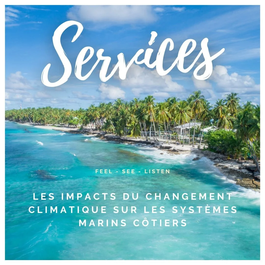 Localization Scientific Reports FR   DE (#sustainability)