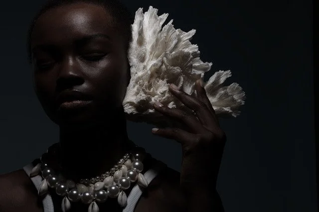 Beauté black - Photo  ©Sylvie Benoit
Maquillage Coiffure- ©Peggy Valor