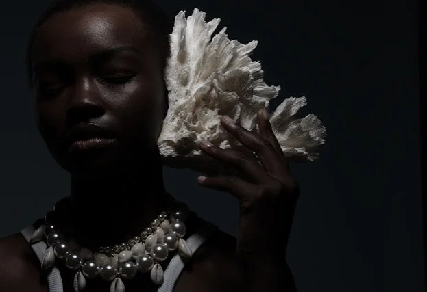 SHOOTING BEAUTY 
Photographer @sylvie_benoit_photographer 
Model @tatiana_kmy @vipmodelsparis 
Jewelry @soem______ 
@sybillekleberagency