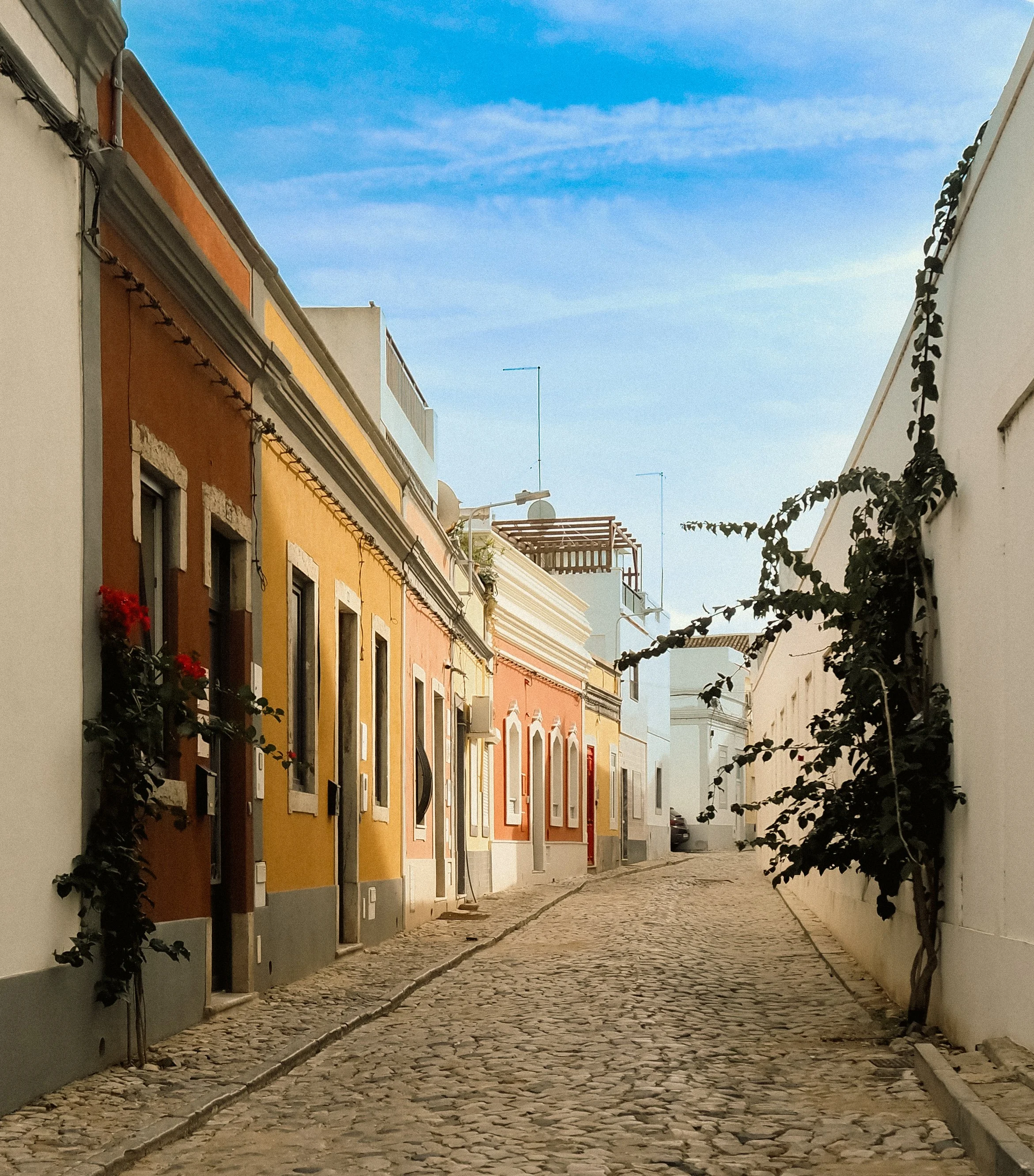 Alleyways and Echoes