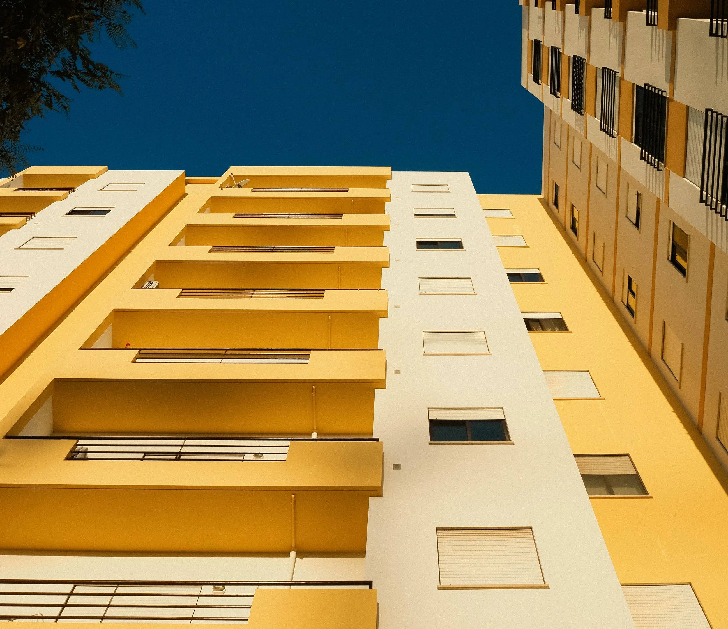 Geometric Perspectives IV