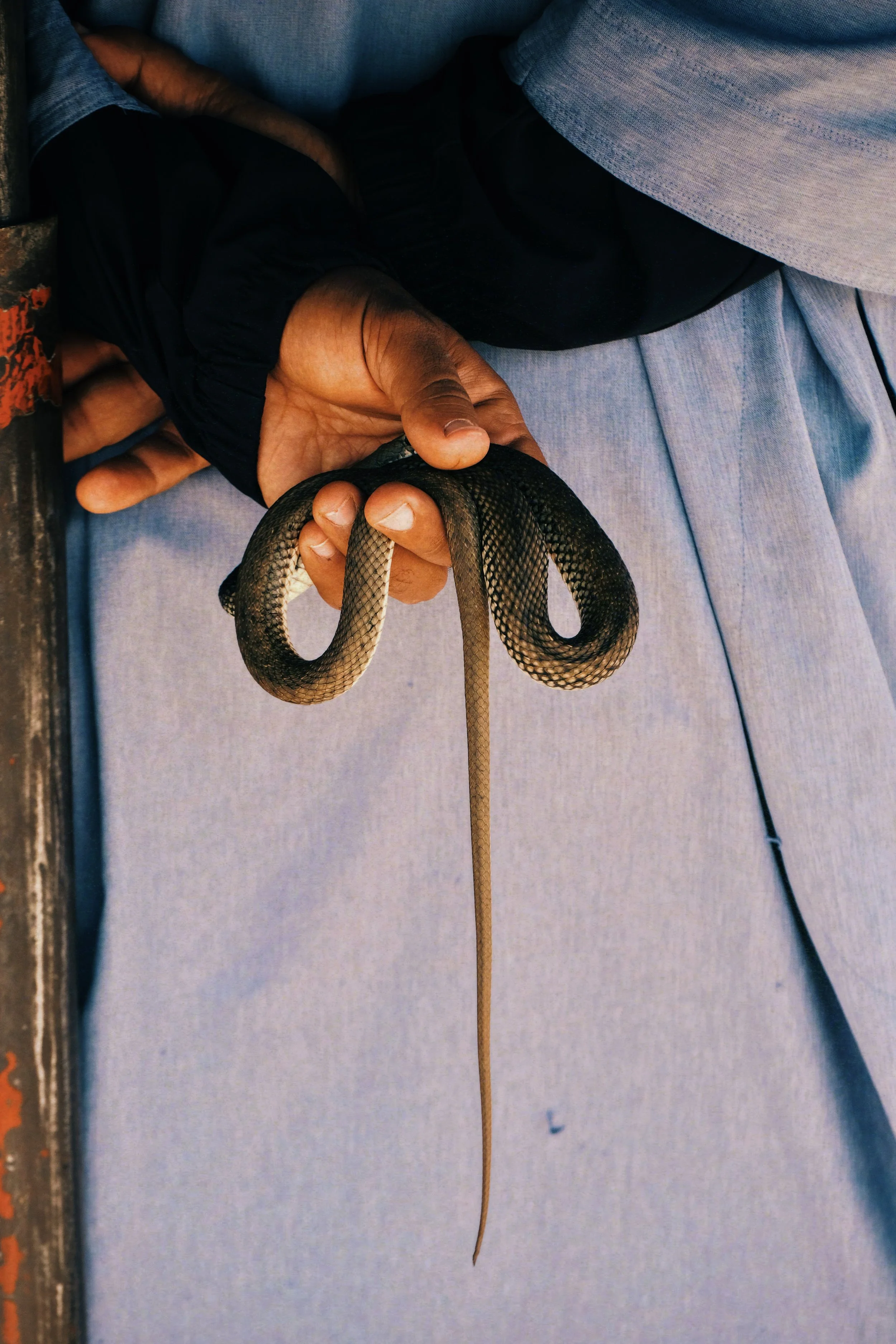 DSCF1874_VSCO 2.JPG