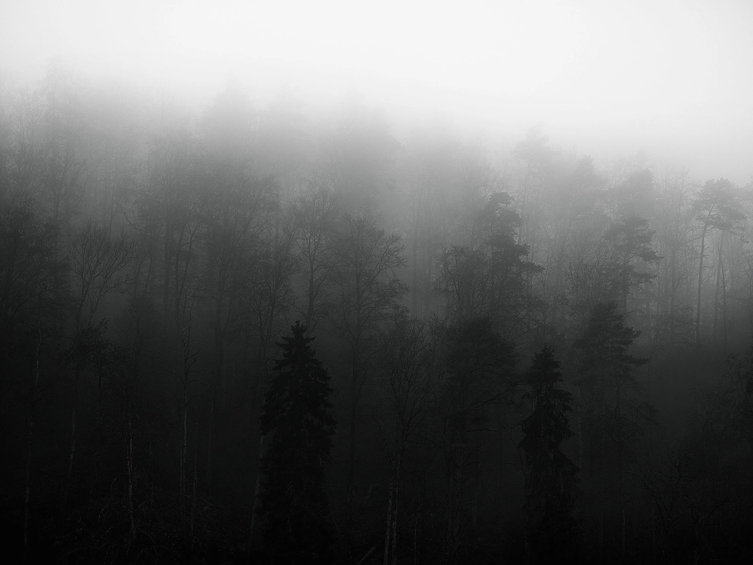 20201220_nebel_DSF9253.jpg