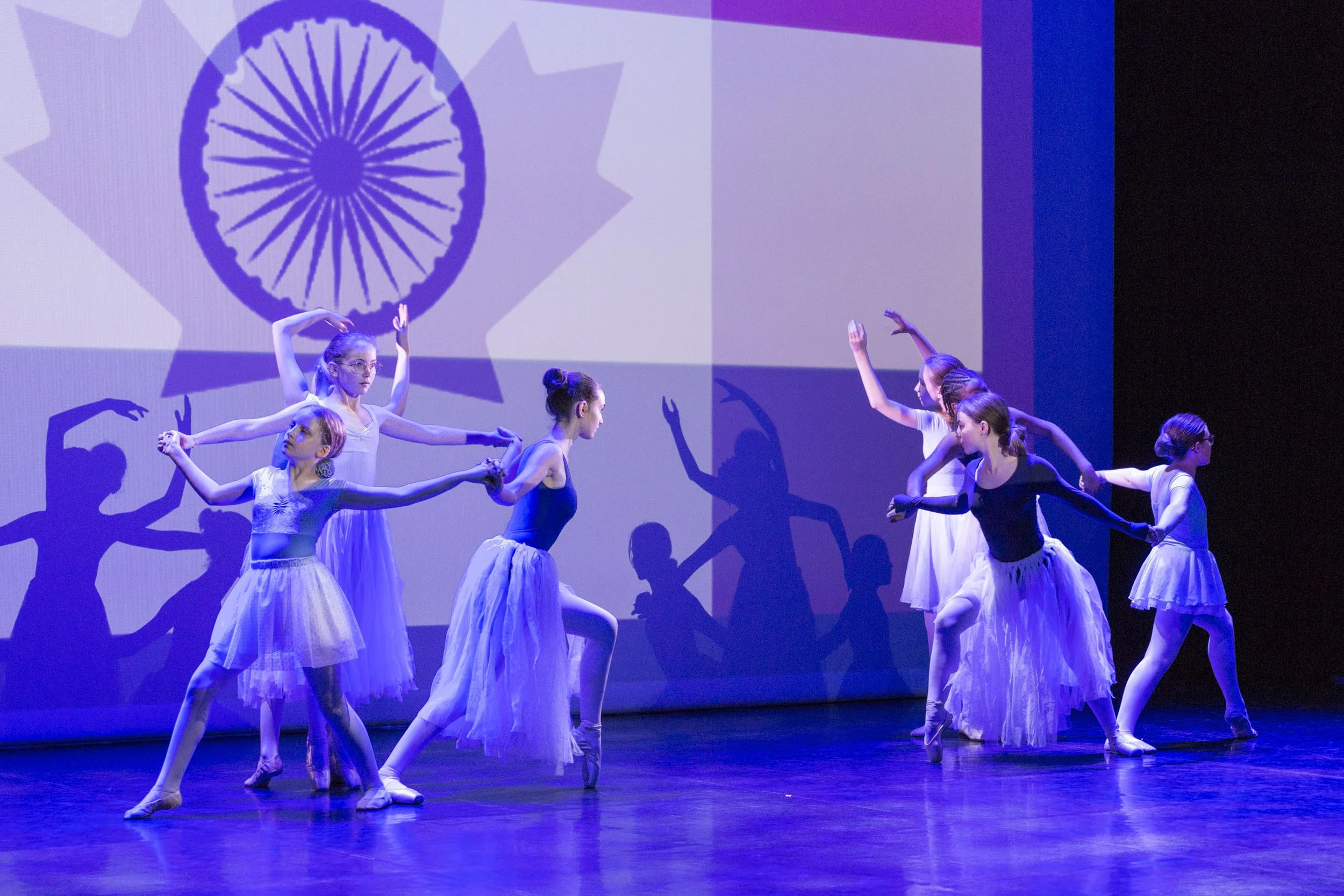 Grand spectacle au Théâtre Municipal de Fontainebleau en mai 2025.