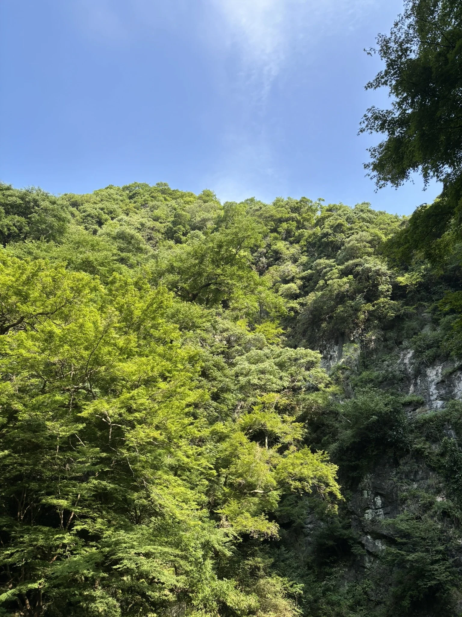 IMG_1496.JPEG