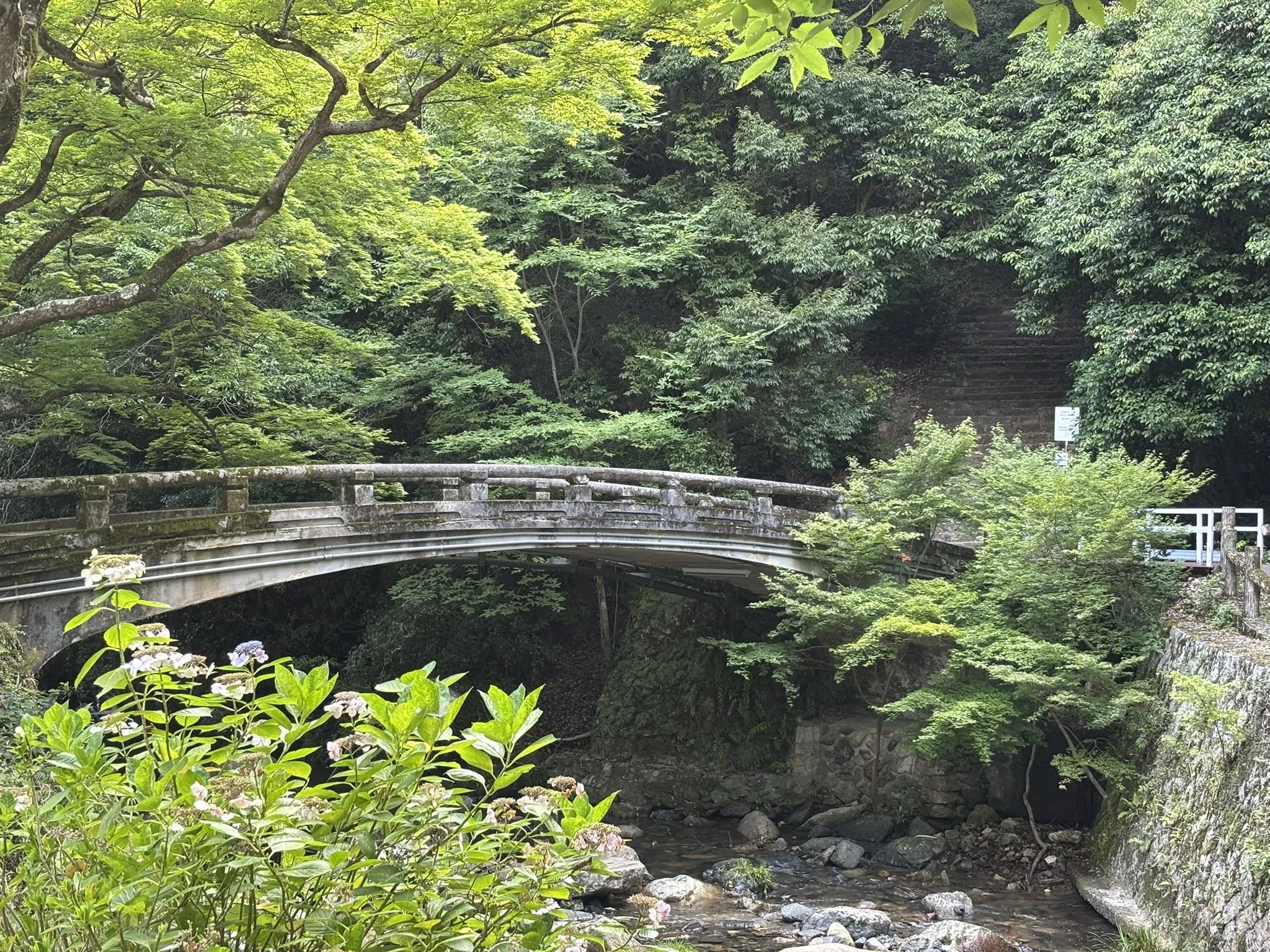 IMG_1479.JPEG