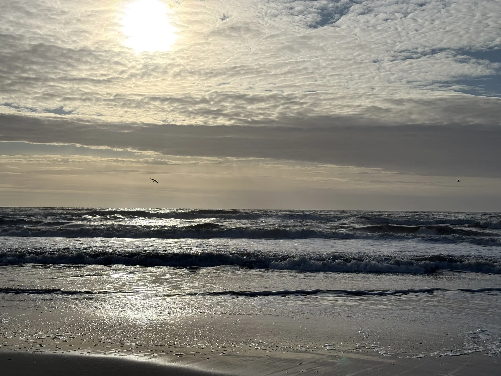 IMG_1290.JPEG