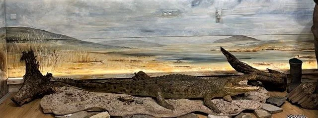 IMG_1100 - Kopie.jpg