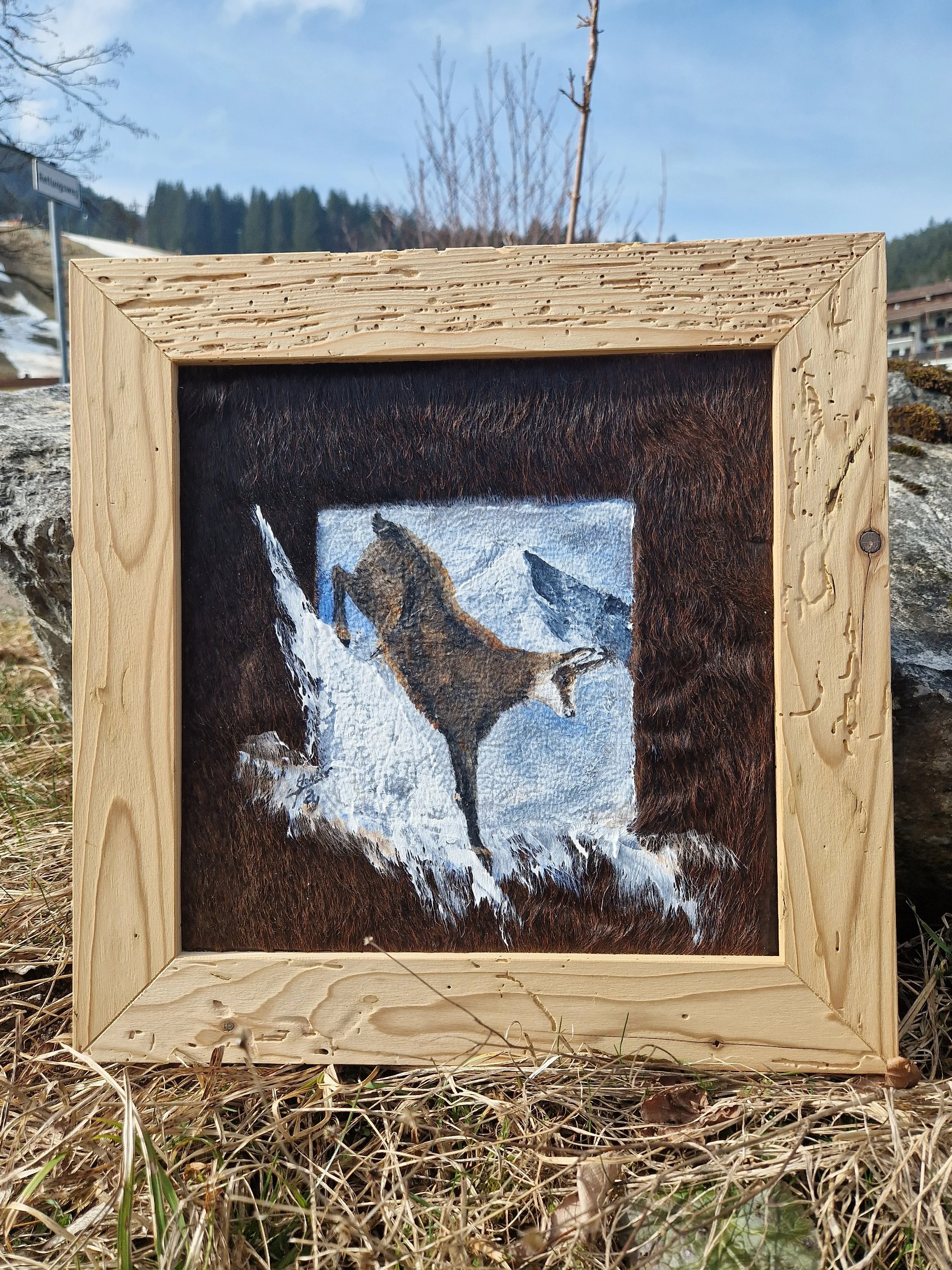 Rinderfell Rotwild.jpg